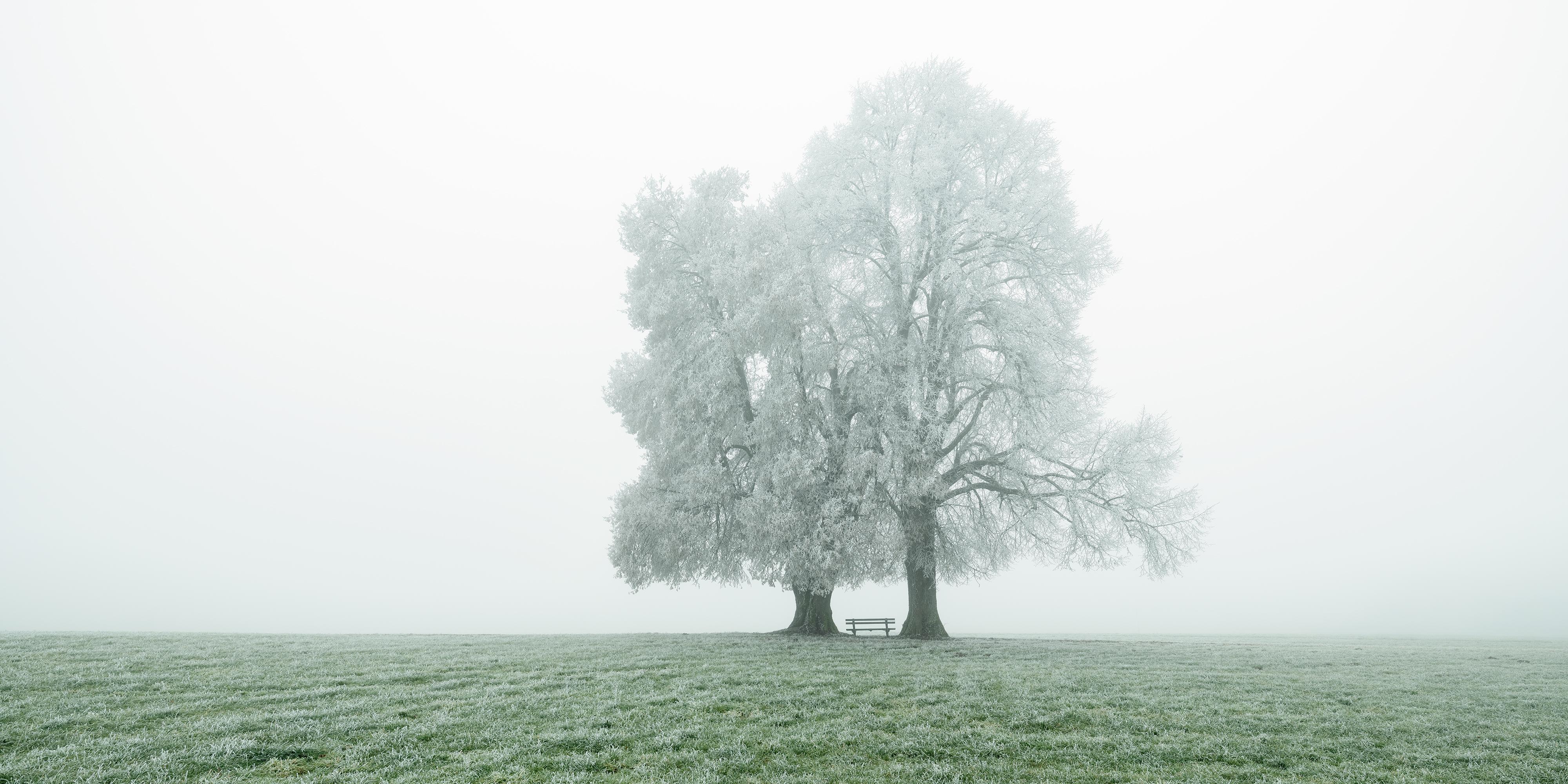 Place to Linger Panorama – Minimalist Winter Landscape, Limited Edition Print