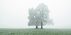 „Place to Linger“ Panorama – Minimalistische Winterlandschaft, Druck in limitierter Auflage