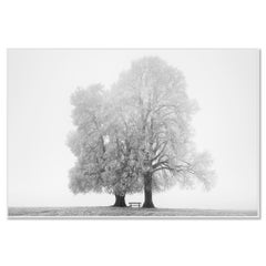 Place to Linger Winter - terres agricoles minimalistes, deux arbres - photo grand format