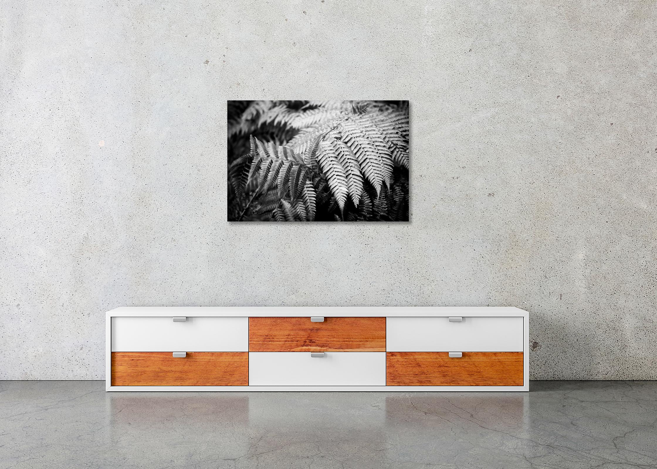 Polypodiopsida, Spain, black and white fine art photography, landscape, flora For Sale 2