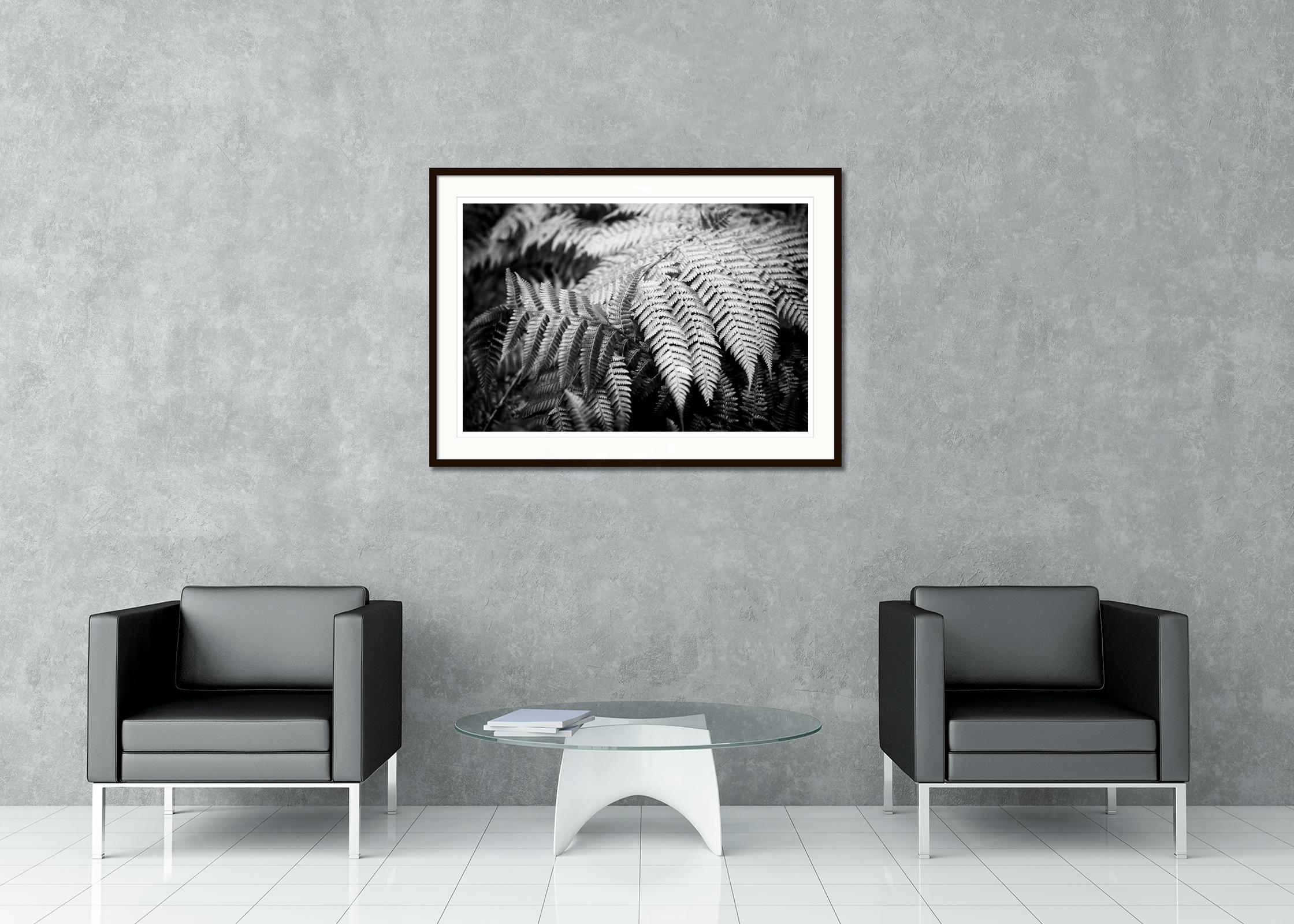 Black and white fine art landscape photography. Polypodiopsida, plant detail, La Gomera, Spain. Archival pigment ink print, edition of 8. Signed, titled, dated and numbered by artist. Certificate of authenticity included. Printed with 4cm white
