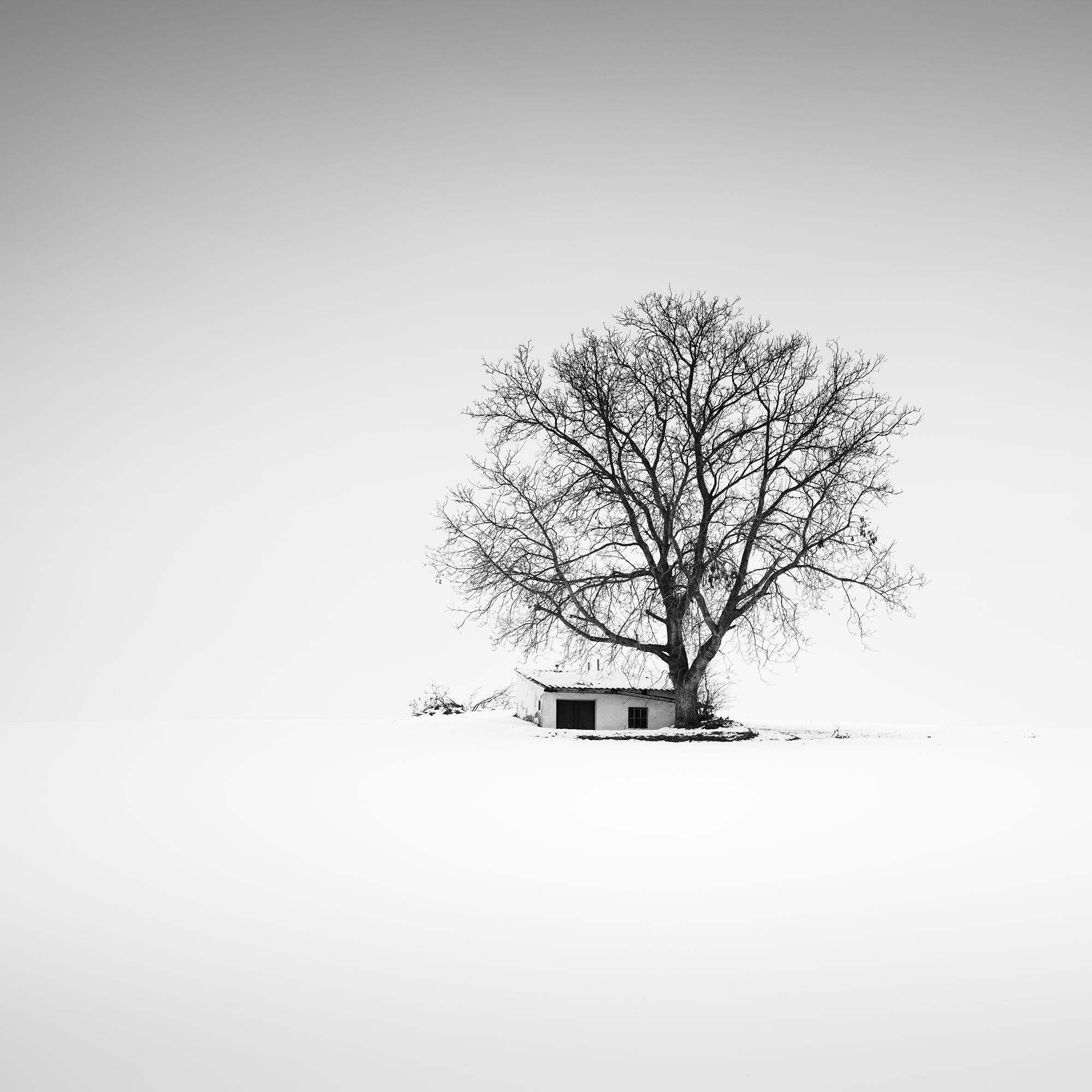 Maison de la presse, Whiting, Autriche, photographie noir et blanc, panorama, paysage en vente 5
