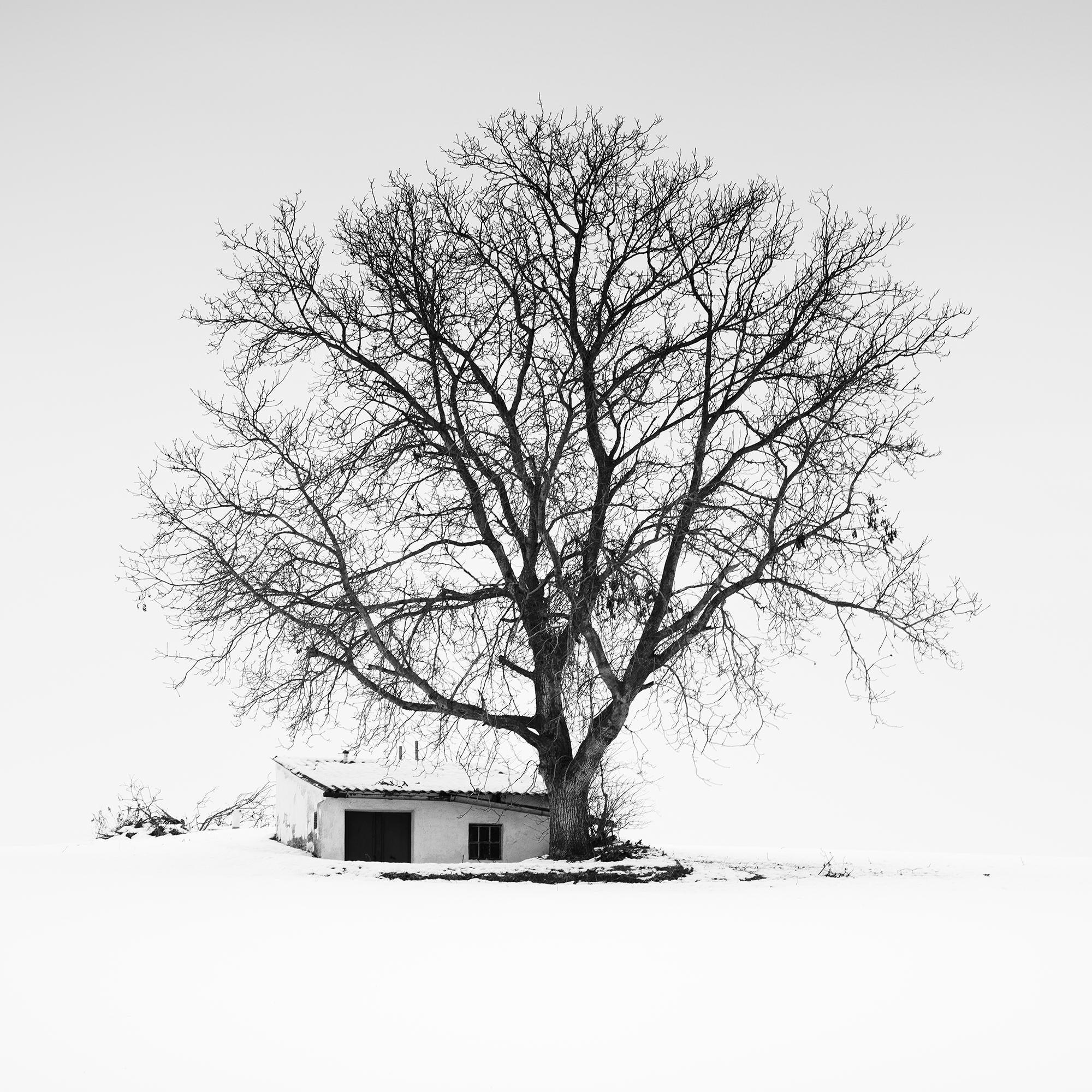 Maison de la presse, Whiting, Autriche, photographie noir et blanc, panorama, paysage en vente 6