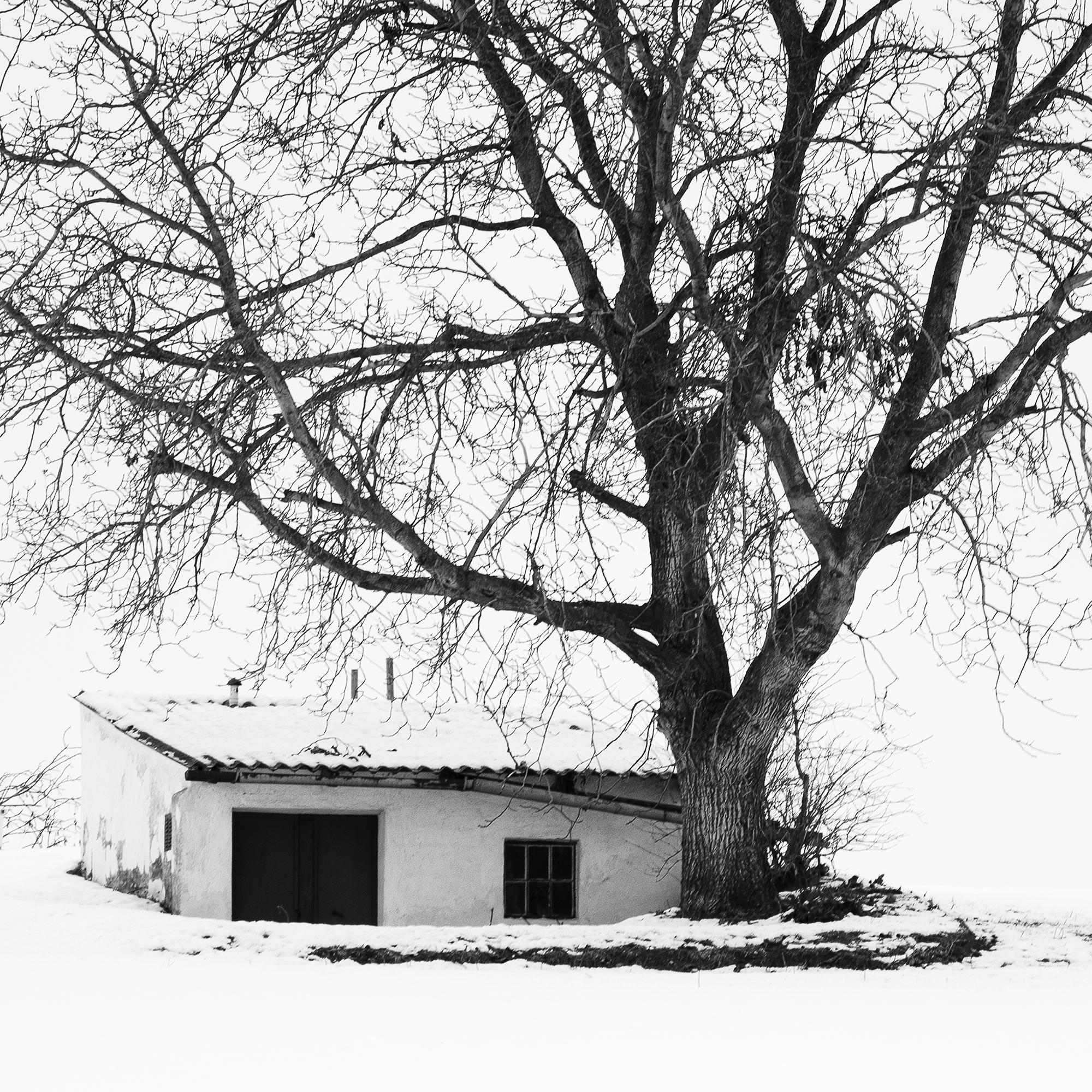 Maison de la presse, Whiting, Autriche, photographie noir et blanc, panorama, paysage en vente 7