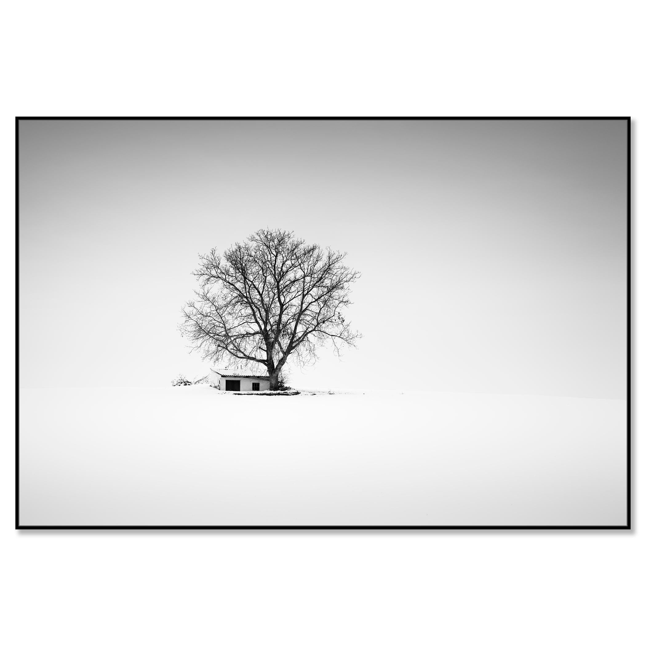 Maison de la presse, Whiting, Autriche, photographie noir et blanc, panorama, paysage - Photograph de Gerald Berghammer