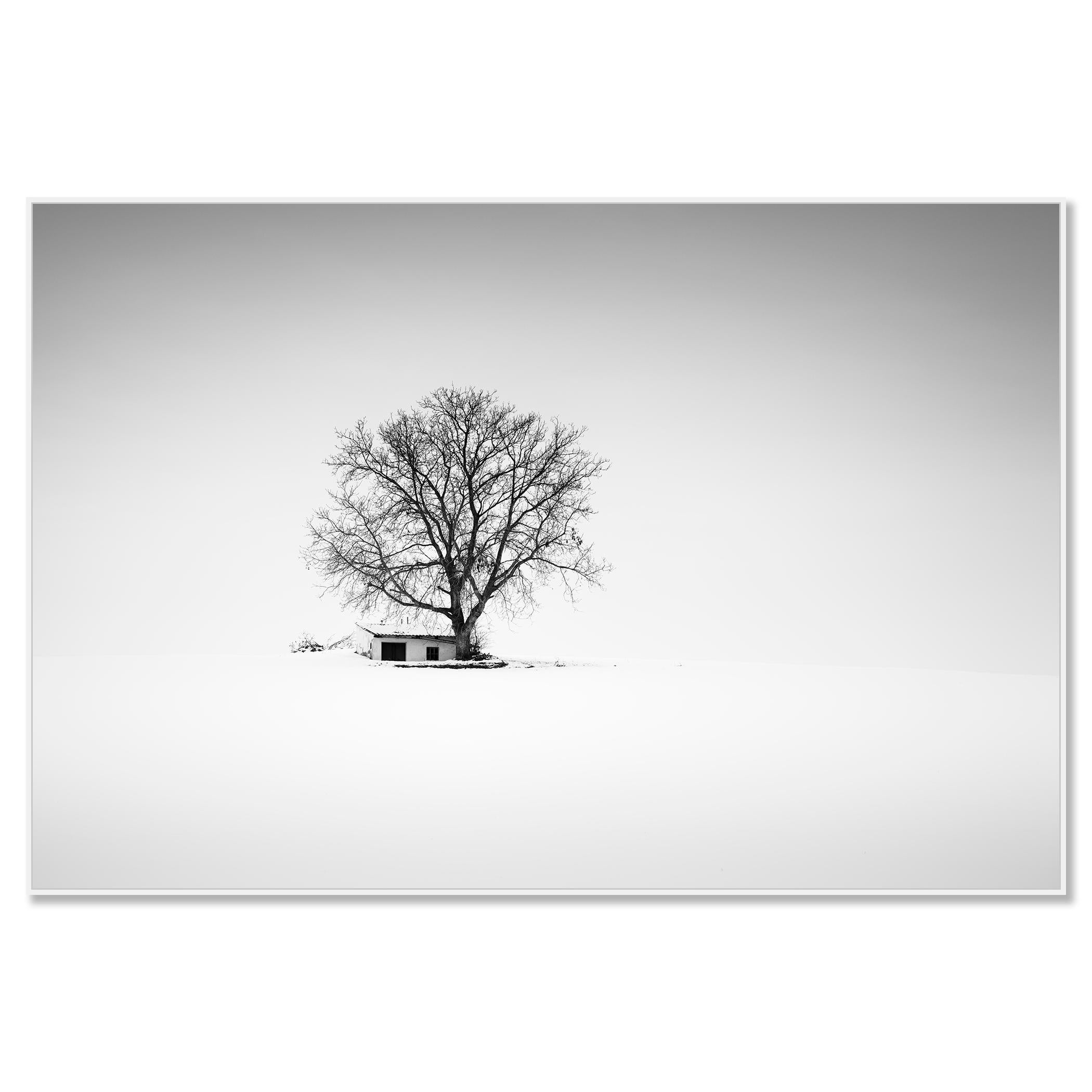 Maison de la presse, Whiting, Autriche, photographie noir et blanc, panorama, paysage - Contemporain Photograph par Gerald Berghammer