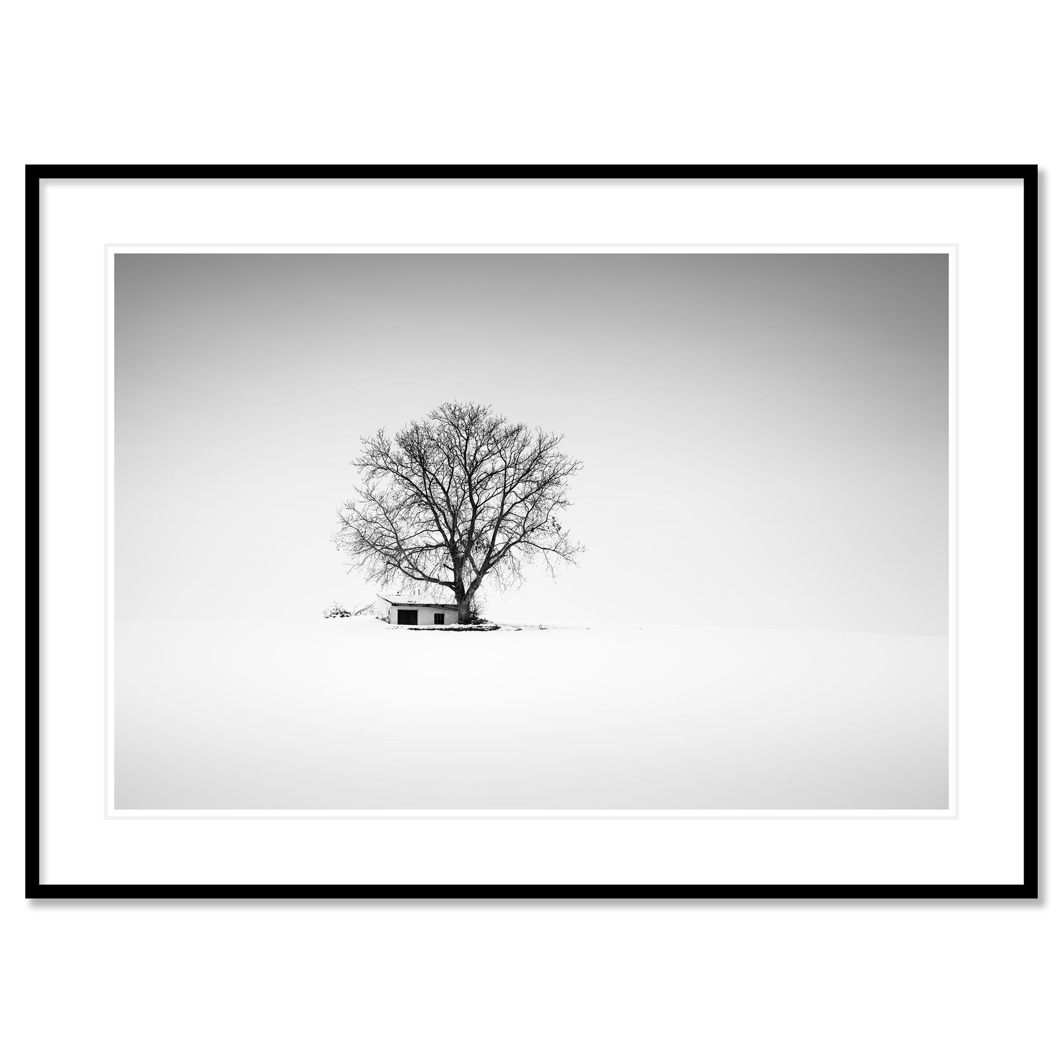 Photographie de paysage en noir et blanc. Maison de presse isolée dans un champ enneigé avec un grand arbre, Autriche. Épreuve à l'encre pigmentaire d'archives, édition de 7 exemplaires. Signée, titrée, datée et numérotée par l'artiste. Certificat
