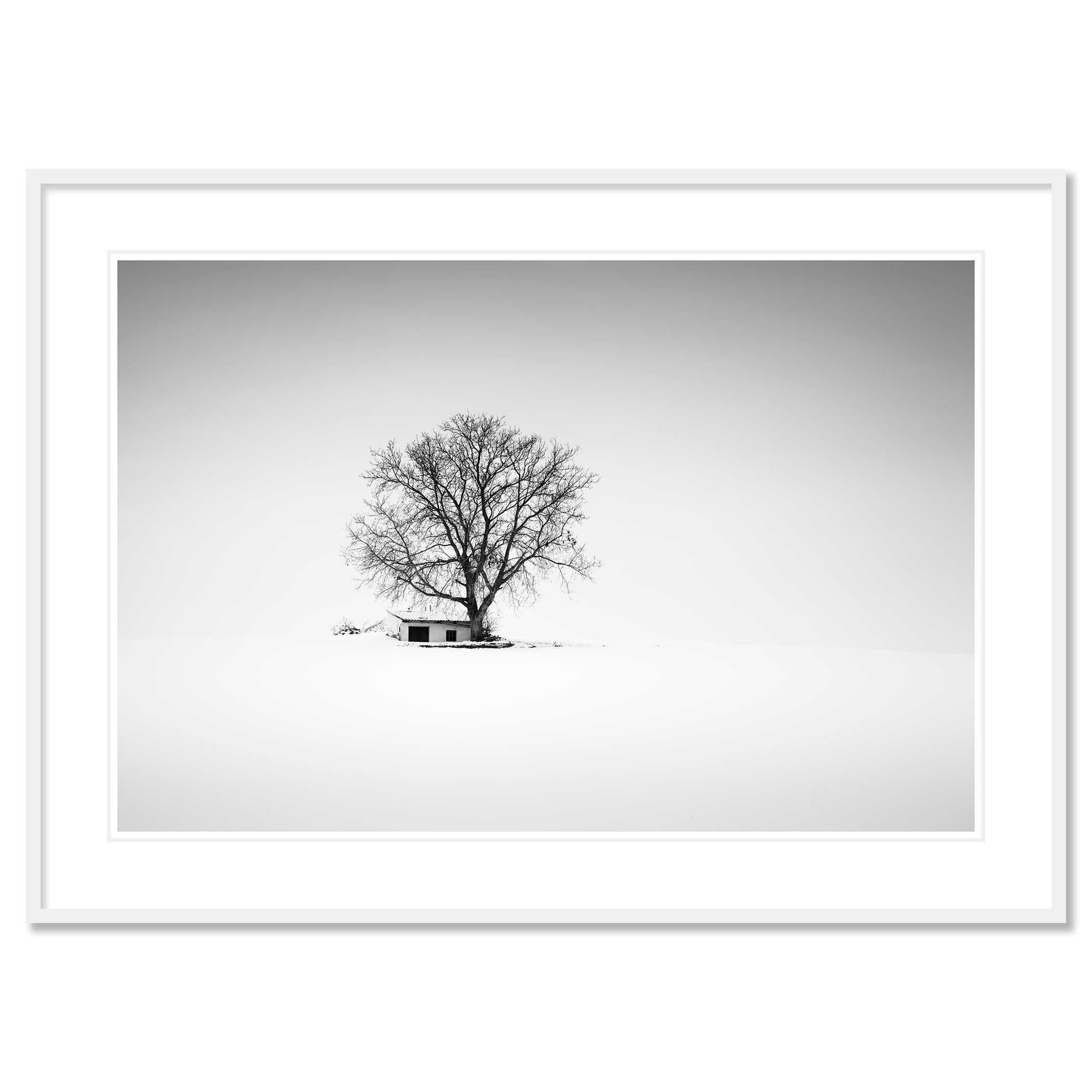 Maison de la presse, Whiting, Autriche, photographie noir et blanc, panorama, paysage en vente 1