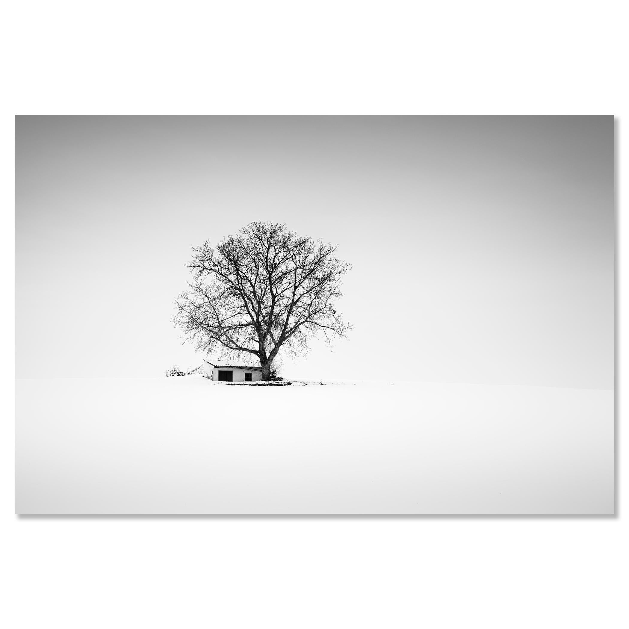 Maison de la presse, Whiting, Autriche, photographie noir et blanc, panorama, paysage en vente 3