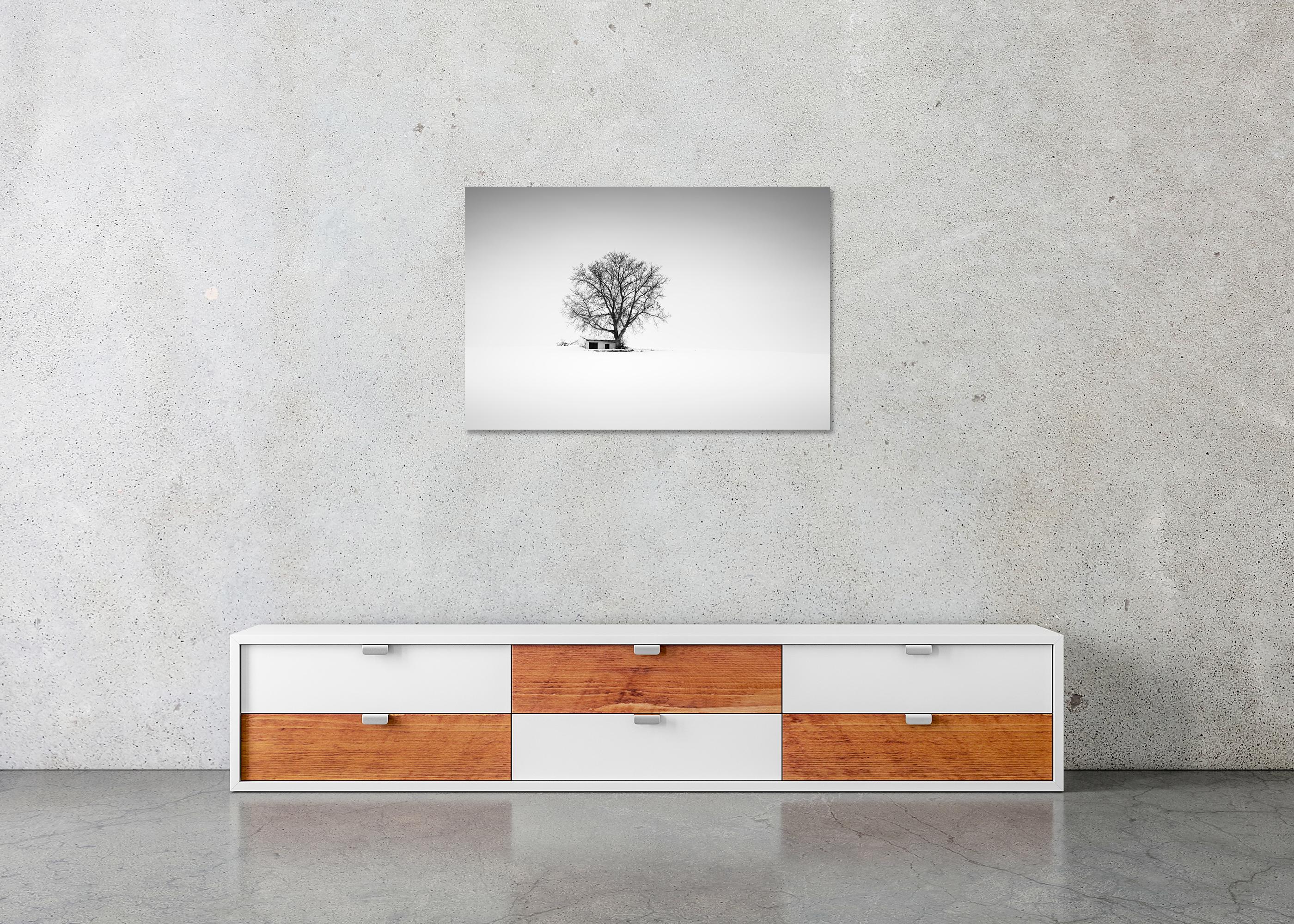Maison de la presse, Whiting, Autriche, photographie noir et blanc, panorama, paysage en vente 4