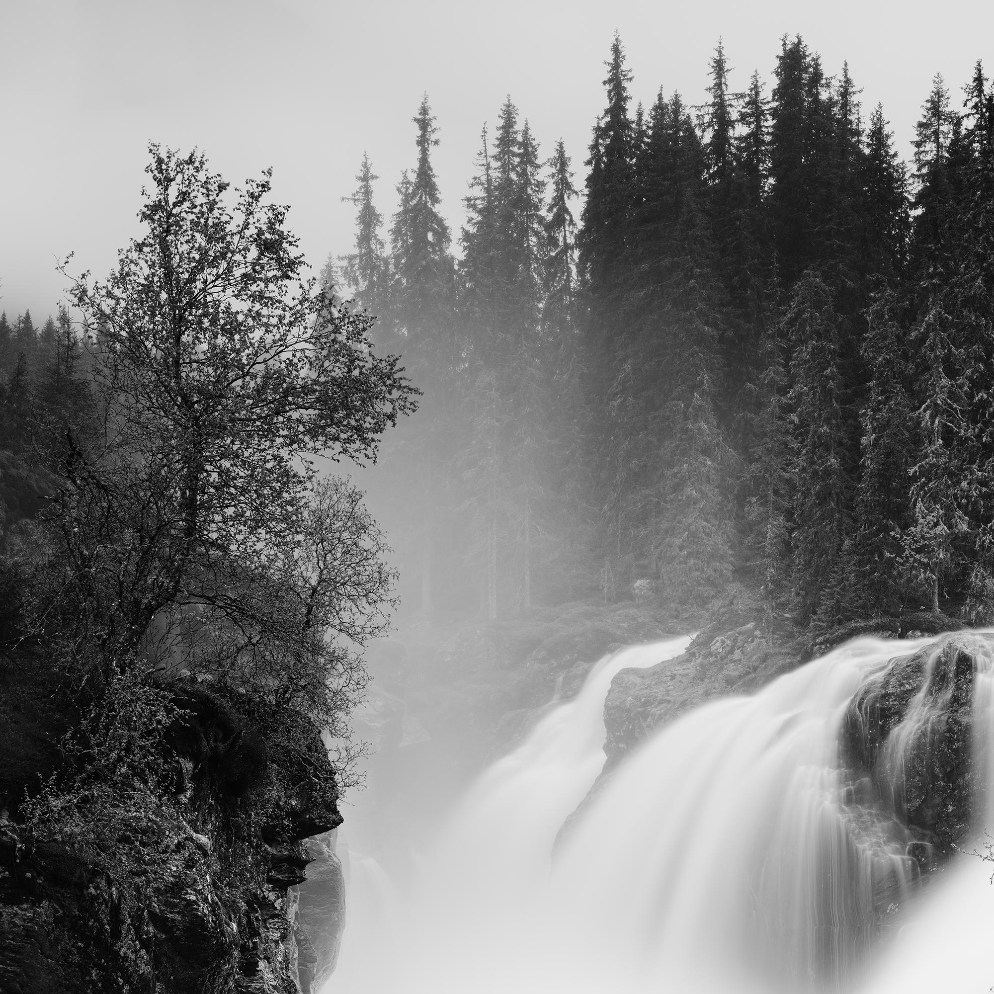 Rjukandefossen Waterfall, Forest, Norway For Sale 5