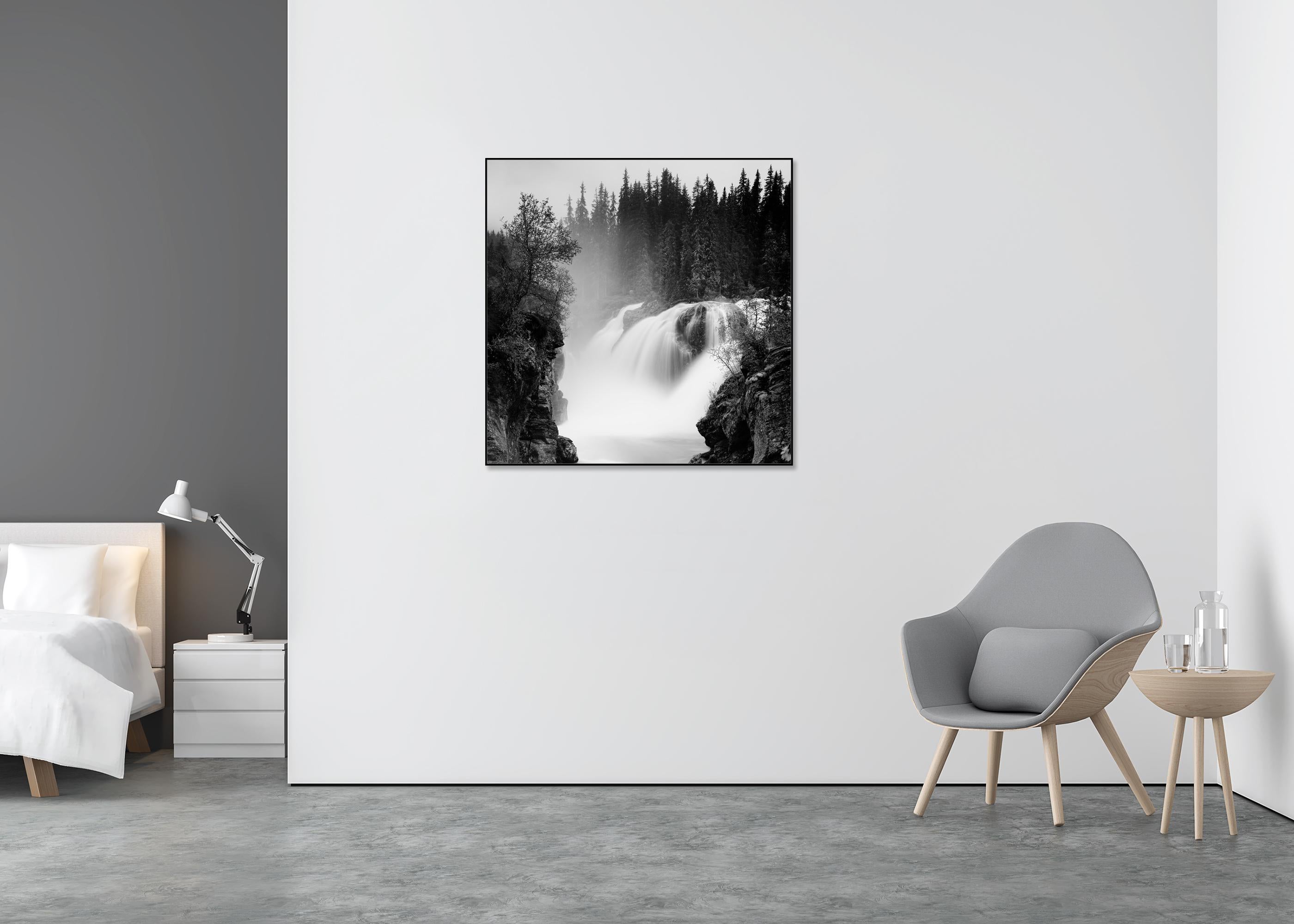 Rjukandefossen Waterfall, Forest, Norway - Black Black and White Photograph by Gerald Berghammer