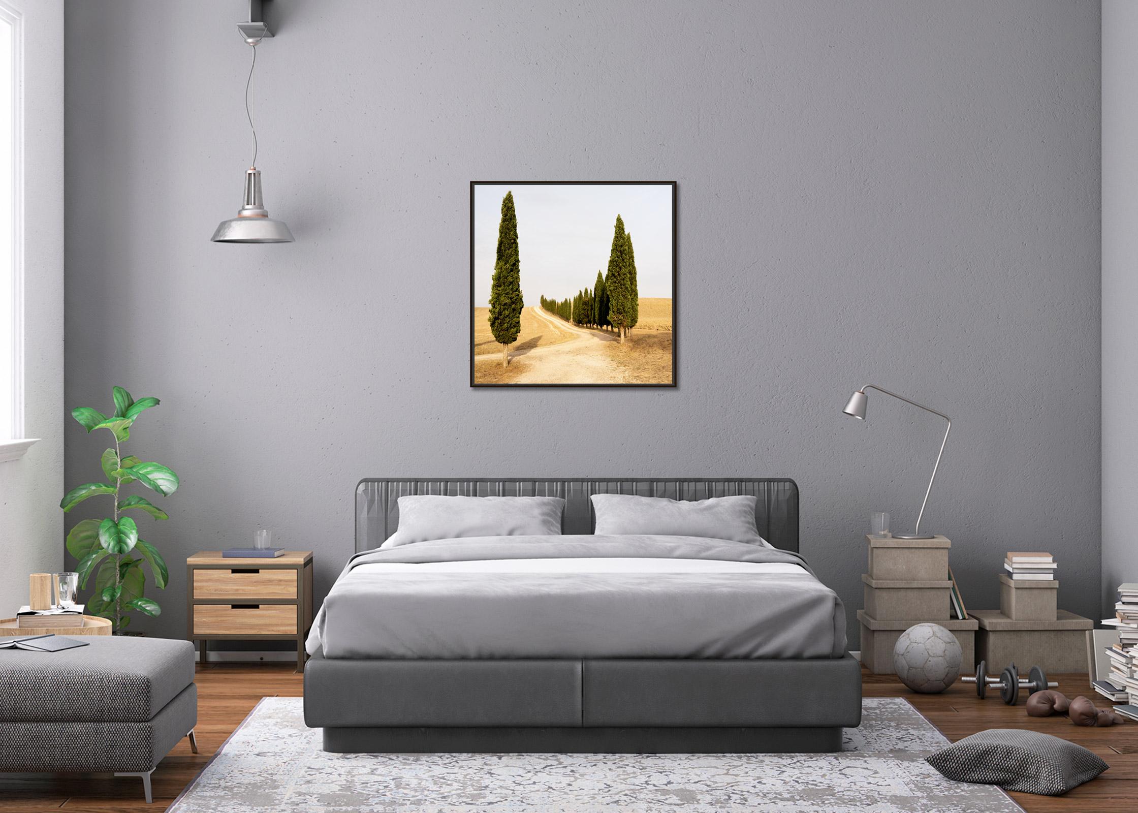 Strada con cipressi, estate indiana, Toscana, fotografia a colori, paesaggio in vendita 1