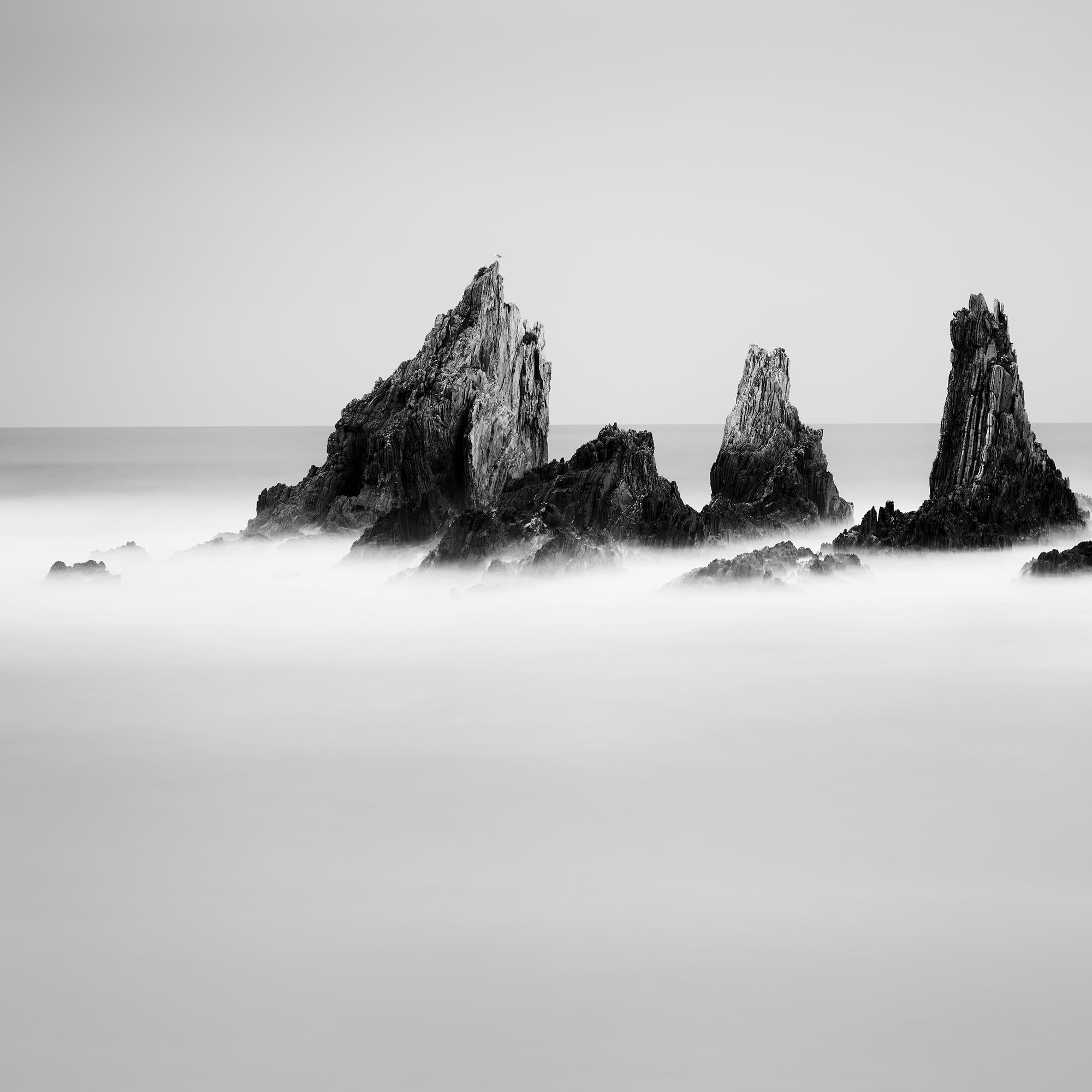 Picos rocosos, Océano Atlántico, Formación rocosa, España, blanco y negro, paisaje marino en venta 5