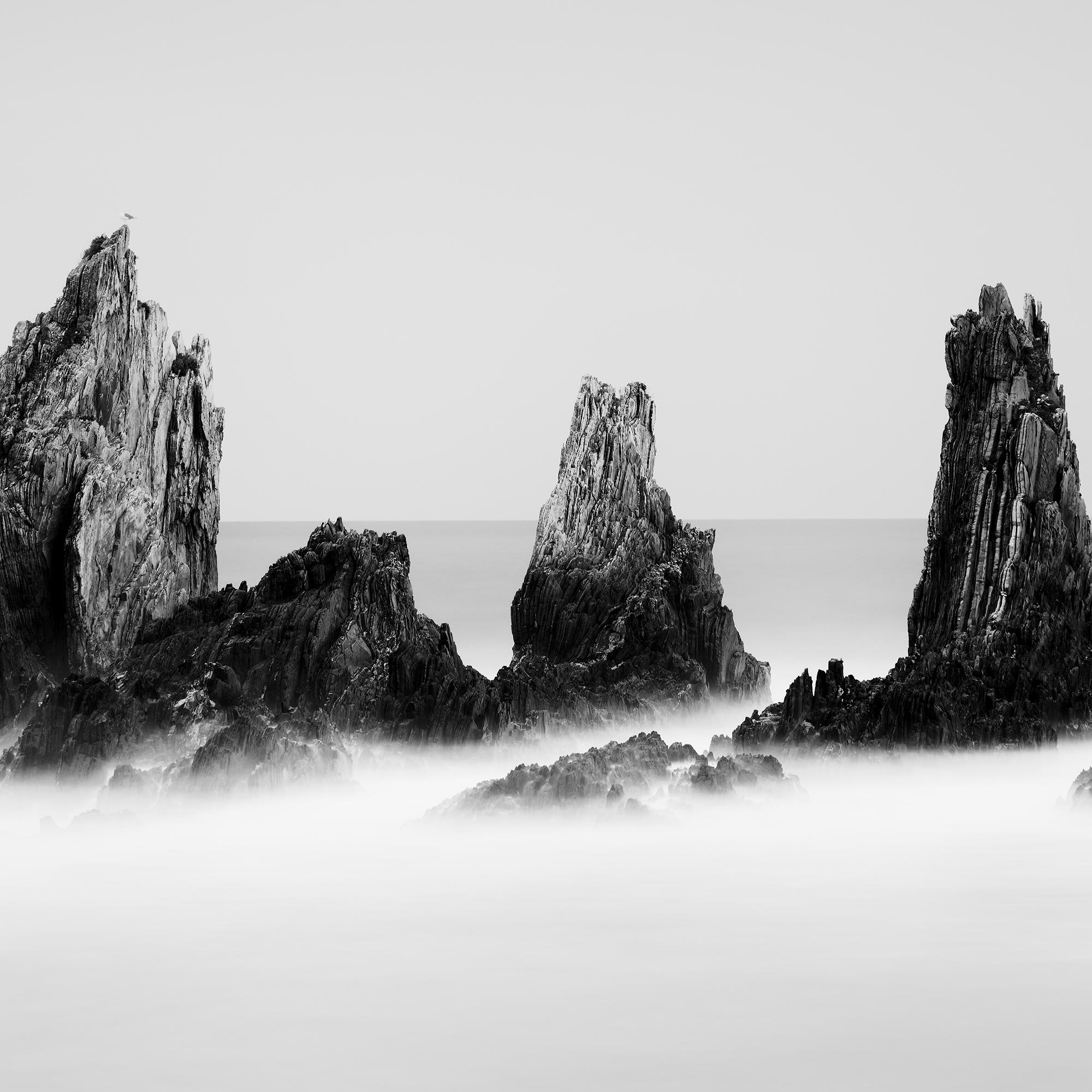 Picos rocosos, Océano Atlántico, Formación rocosa, España, blanco y negro, paisaje marino en venta 7