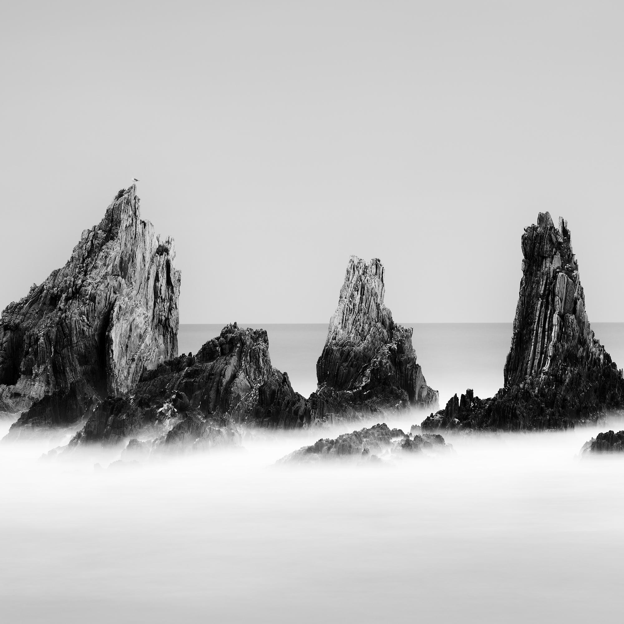 Rocky Peaks, shoreline, Atlantic Ocean, mono landscape photography print For Sale 5