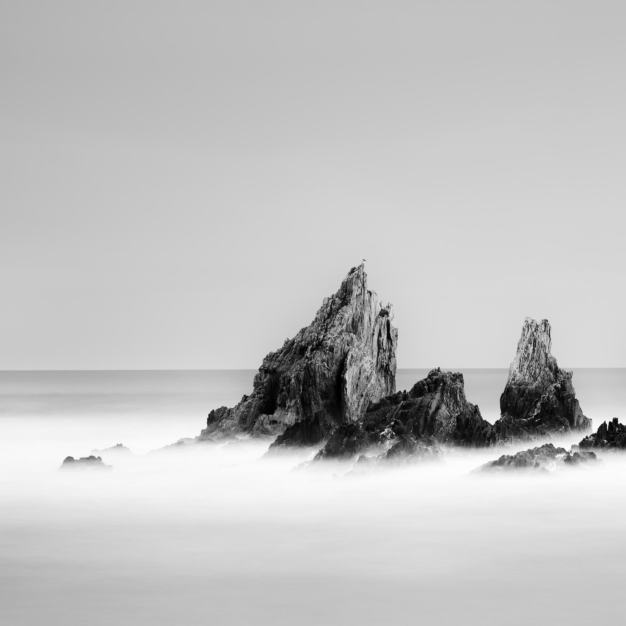 Rocky Peaks, shoreline, Atlantic Ocean, mono landscape photography print For Sale 3