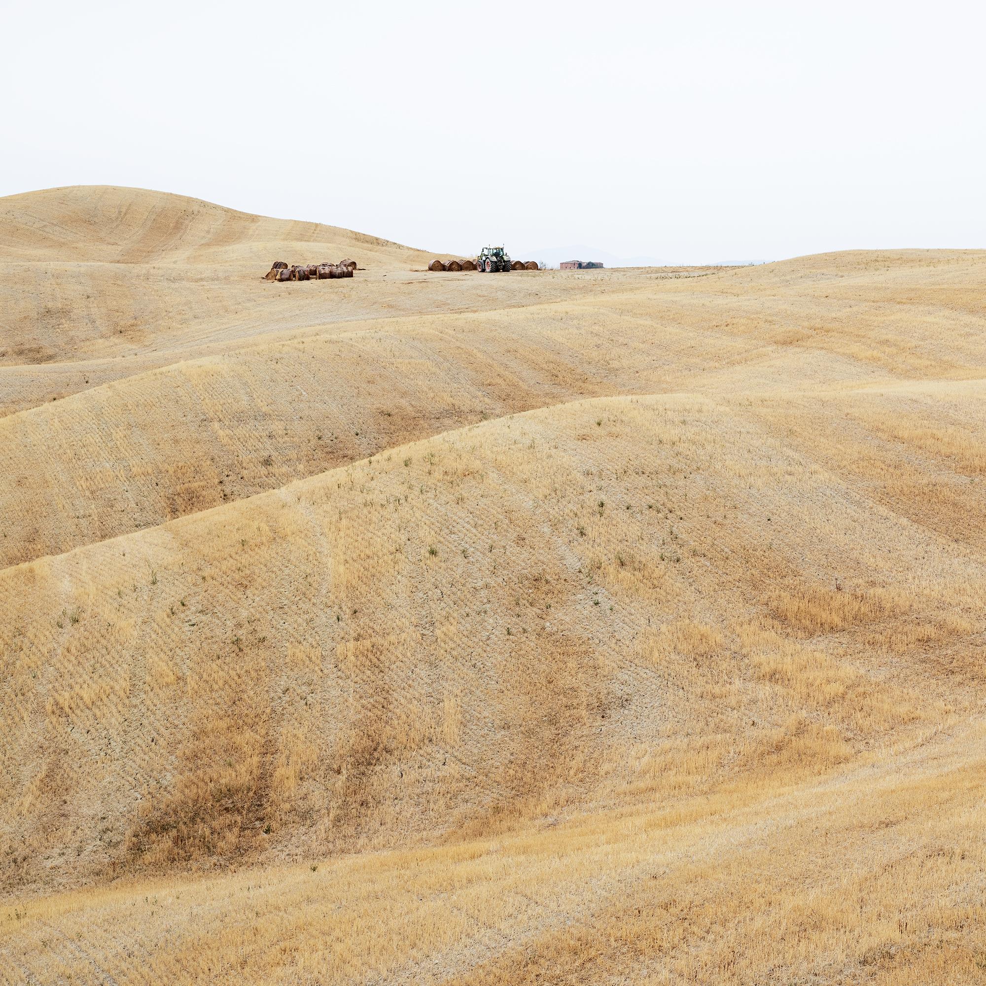 Rolling Hills, moisson d'automne, toscane, grande photographie en couleur, édition limitée en vente 5