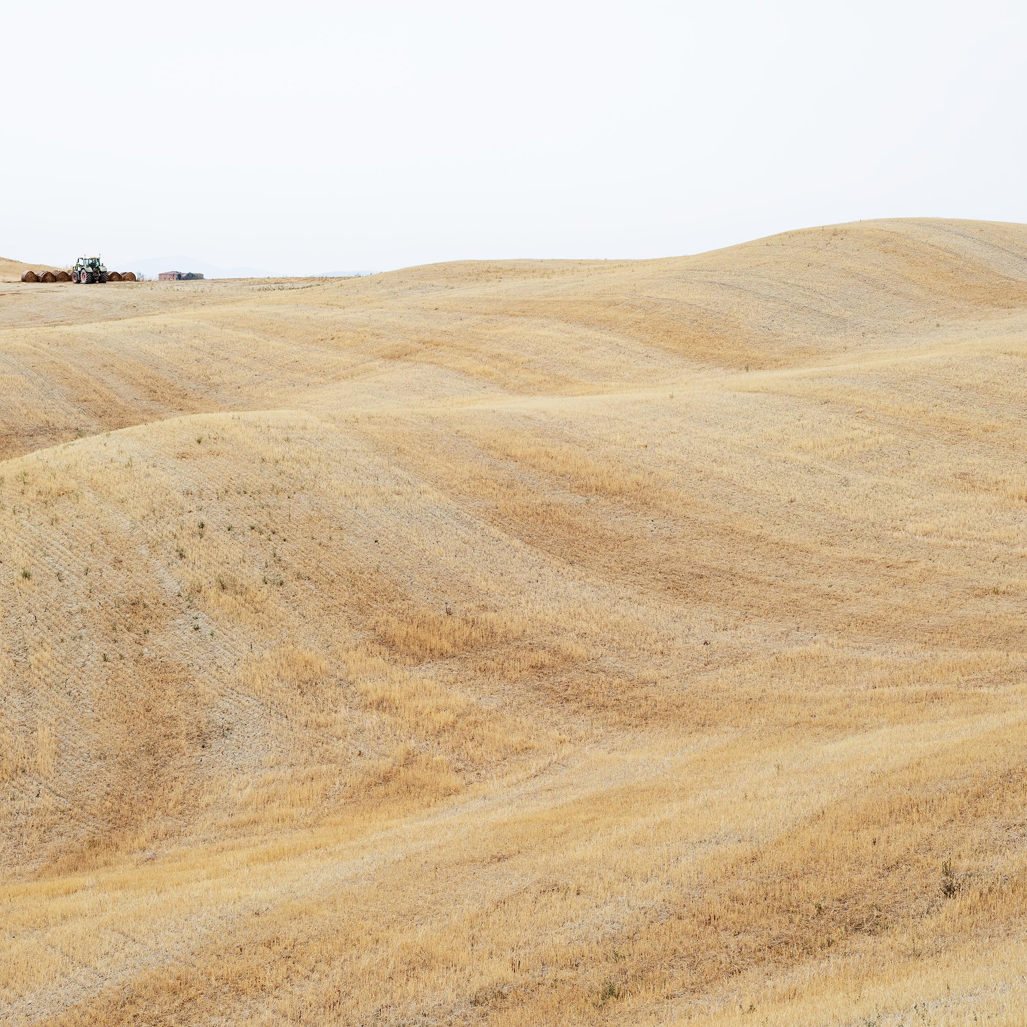 Rolling Hills, moisson d'automne, toscane, grande photographie en couleur, édition limitée en vente 6
