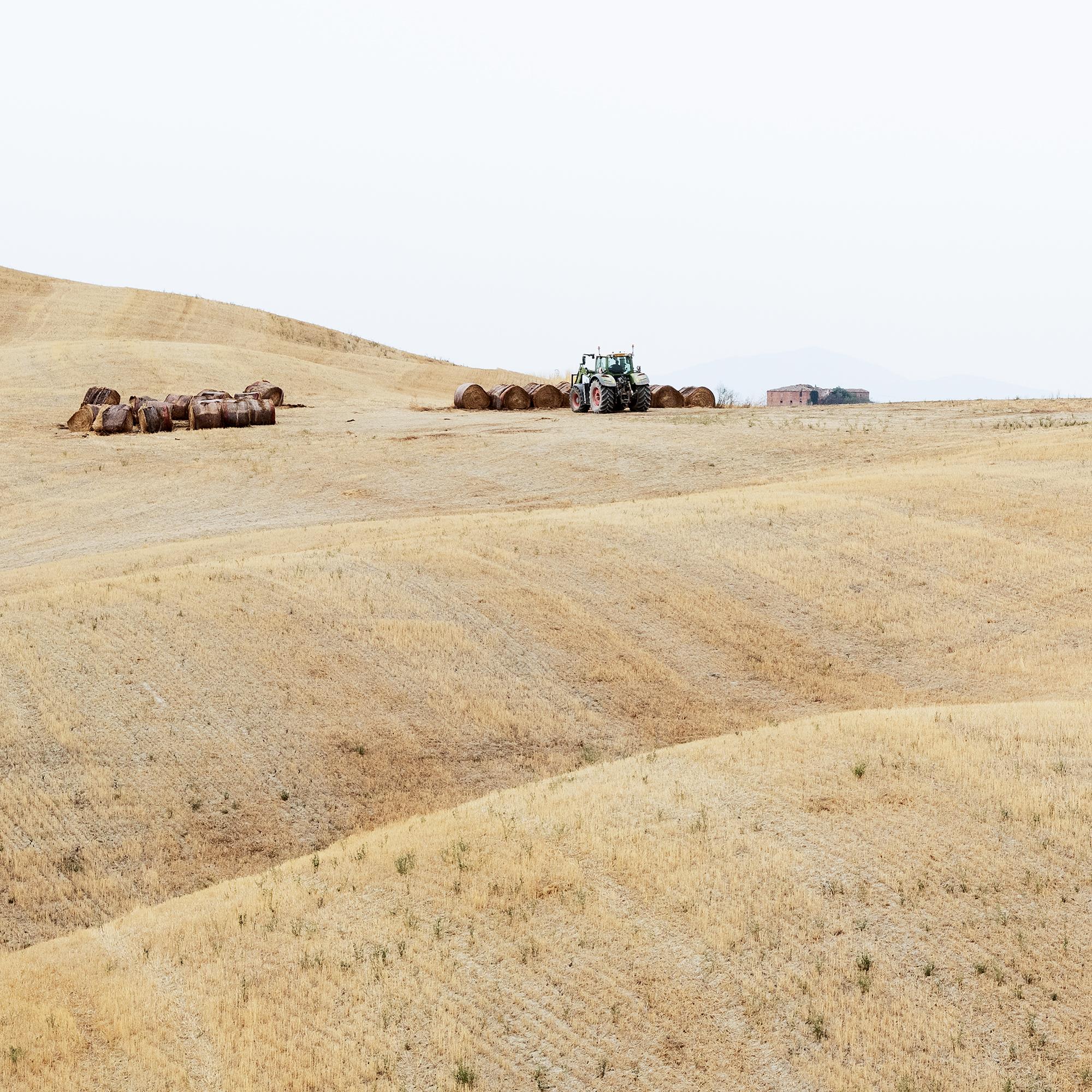Rolling Hills, moisson d'automne, toscane, grande photographie en couleur, édition limitée en vente 7