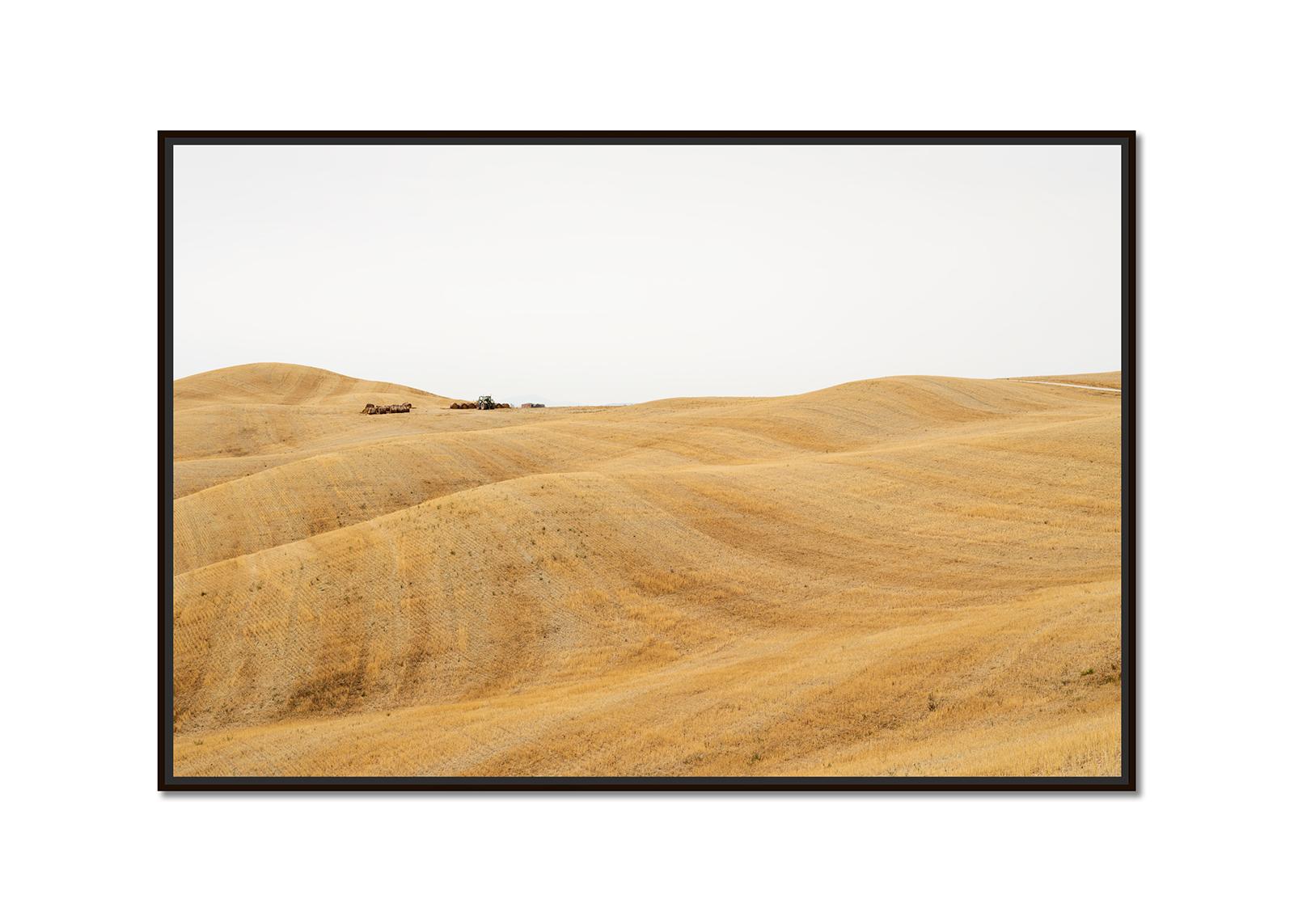 Rolling Hills, Herbsternte, Toskana, große Farbfotografie, limitierte Auflage – Photograph von Gerald Berghammer