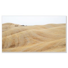Rolling Hills, Autumn Harvest, tuscany, large color photograph, limited edition