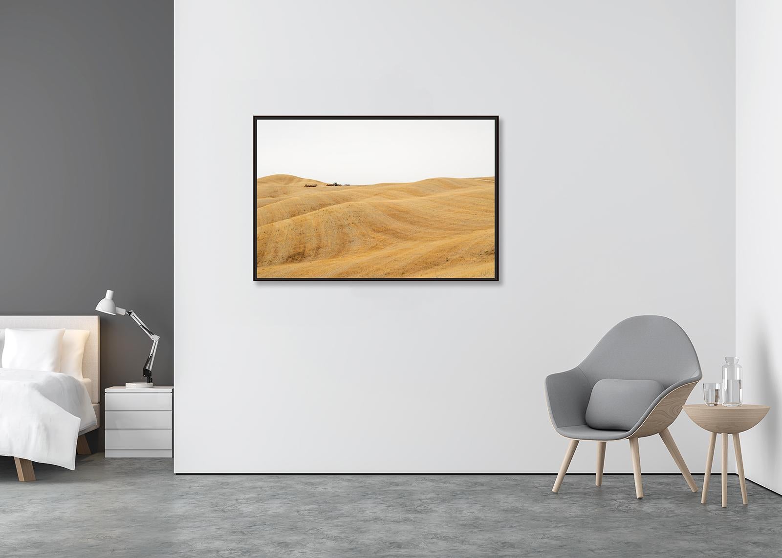 Rolling Hills, Herbsternte, Toskana, große Farbfotografie, limitierte Auflage (Zeitgenössisch), Photograph, von Gerald Berghammer