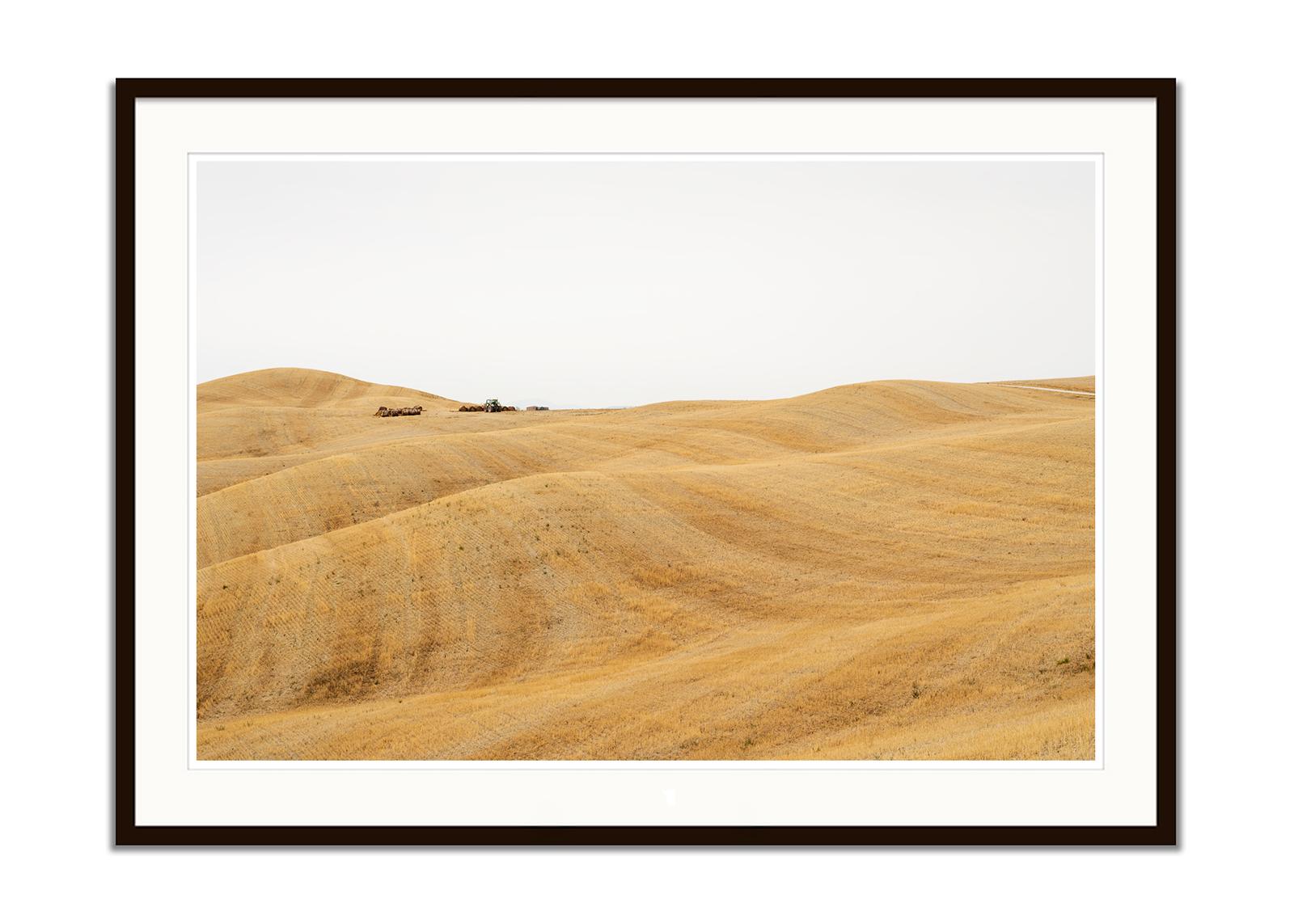 Rolling Hills, Herbsternte, Toskana, große Farbfotografie, limitierte Auflage (Braun), Color Photograph, von Gerald Berghammer