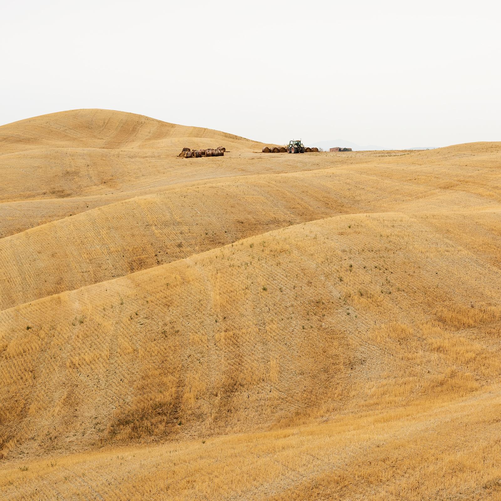 Rolling Hills, Herbsternte, Toskana, große Farbfotografie, limitierte Auflage im Angebot 2