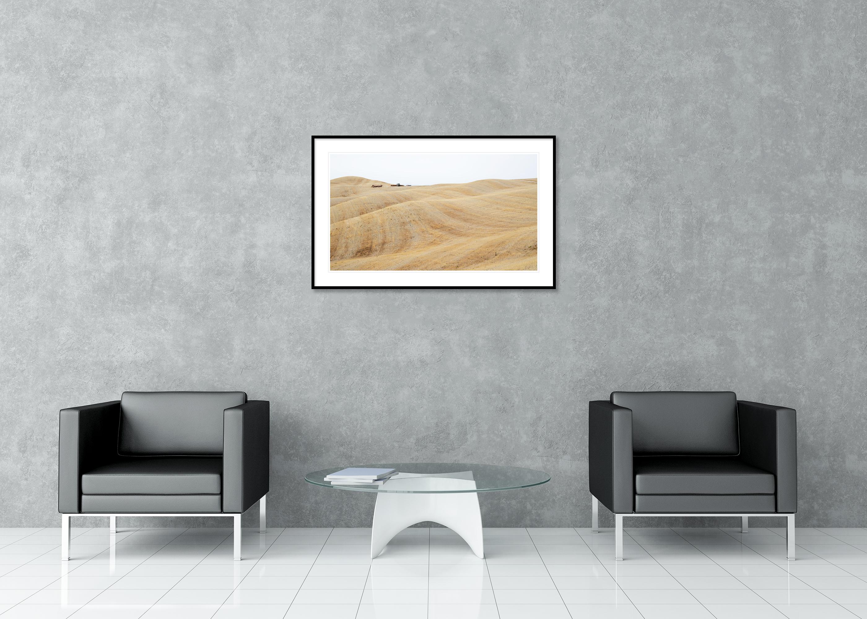 Rolling Hills, moisson d'automne, toscane, grande photographie en couleur, édition limitée en vente 2