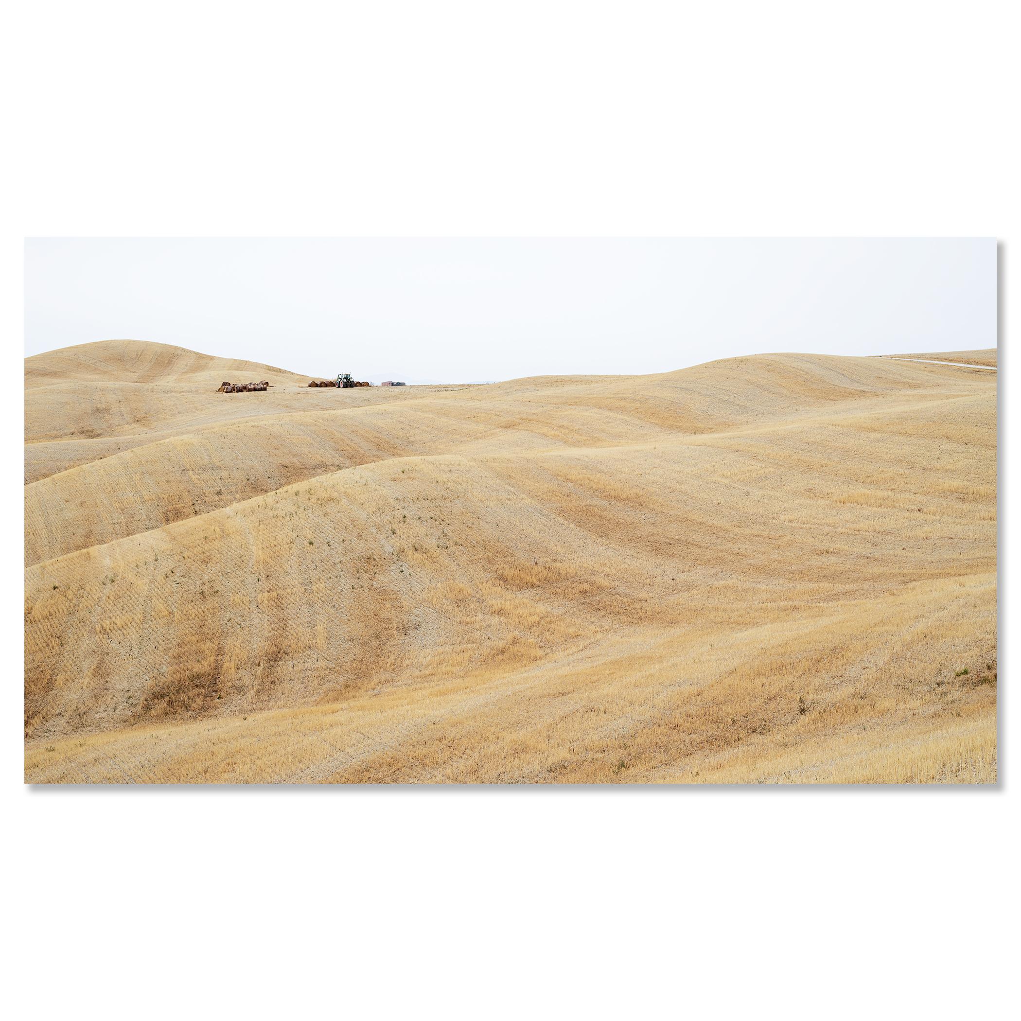 Rolling Hills, moisson d'automne, toscane, grande photographie en couleur, édition limitée en vente 3