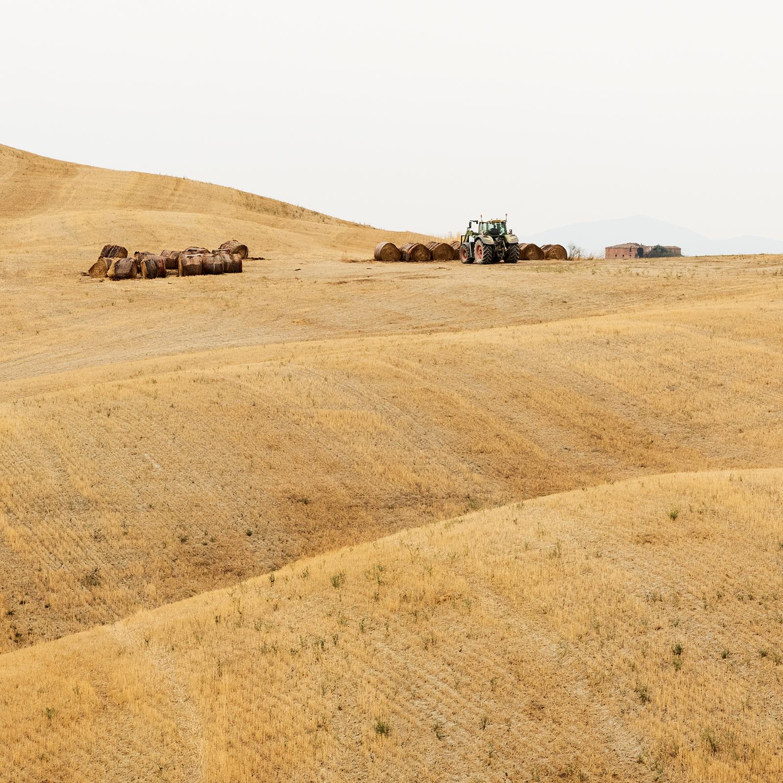 Rolling Hills, Herbsternte, Toskana, große Farbfotografie, limitierte Auflage im Angebot 4