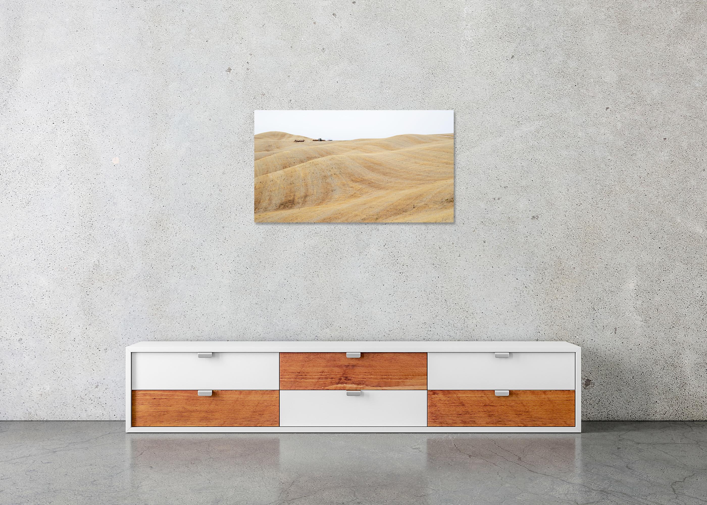 Rolling Hills, moisson d'automne, toscane, grande photographie en couleur, édition limitée en vente 4