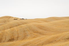 Rolling Hills, Autumn Harvest, tuscany, large color photograph, limited edition