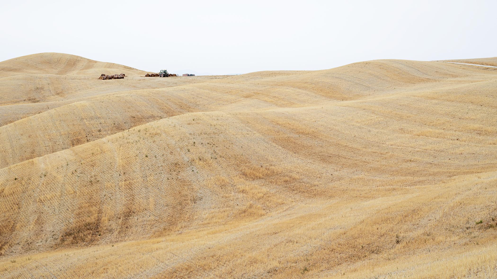 Rolling Hills, Autumn Harvest, tuscany, large color photograph, limited edition