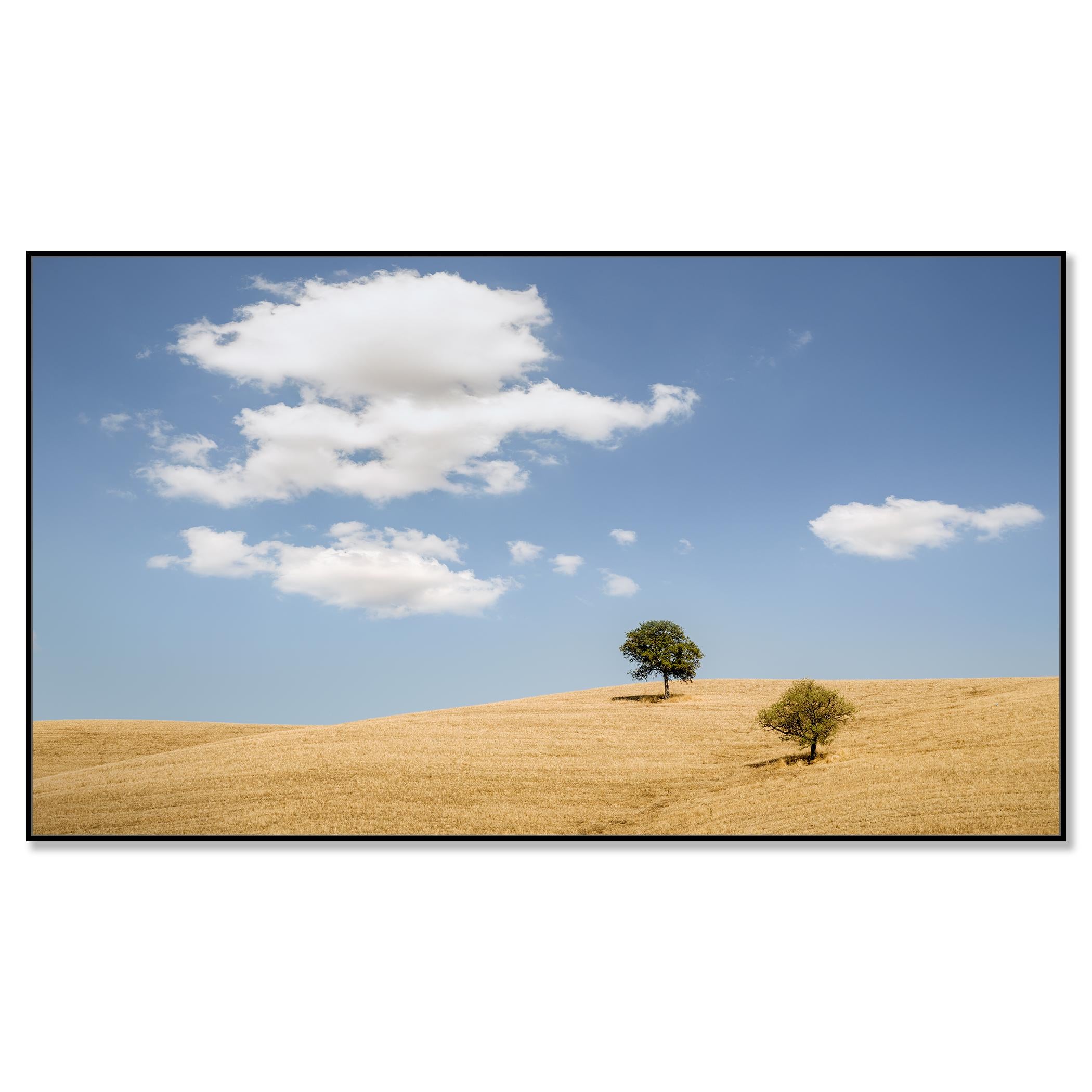 Rolling hills with Trees photography panorama landscape limited edition - Photograph by Gerald Berghammer