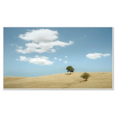 Rolling hills with Trees - photography- panorama landscape - limited edition