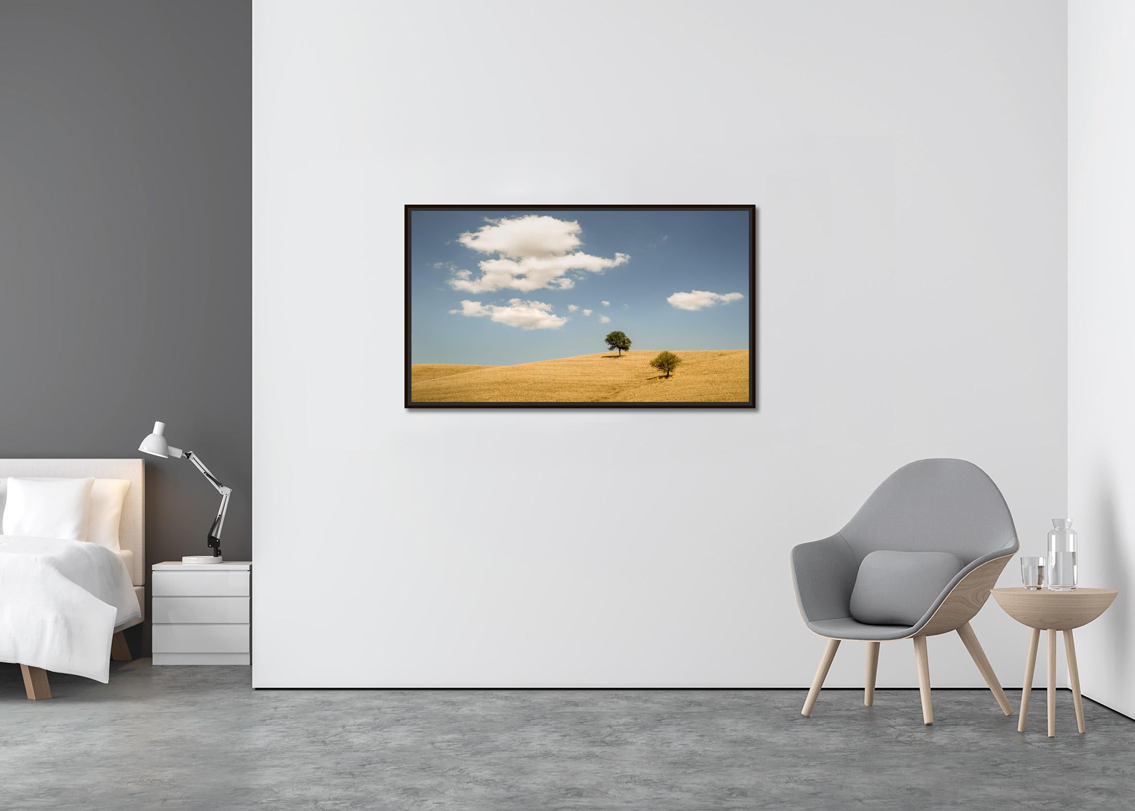 Hilles roulantes avec arbres, photographie, panorama, paysage, édition limitée - Contemporain Photograph par Gerald Berghammer