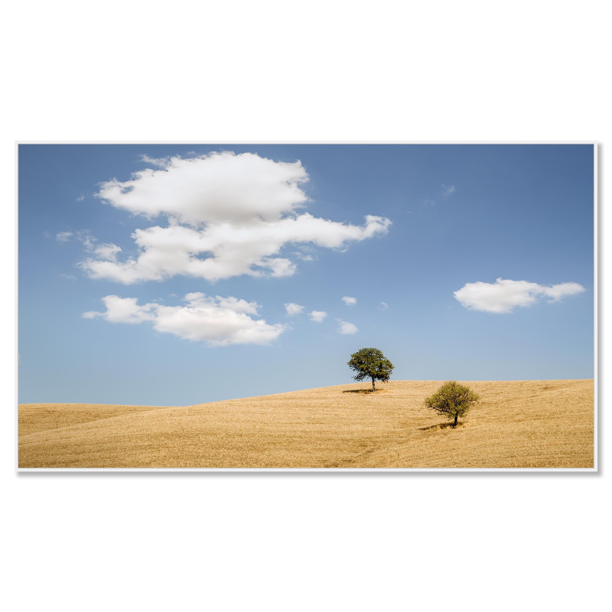 Rolling hills with Trees photography panorama landscape limited edition - Contemporary Photograph by Gerald Berghammer