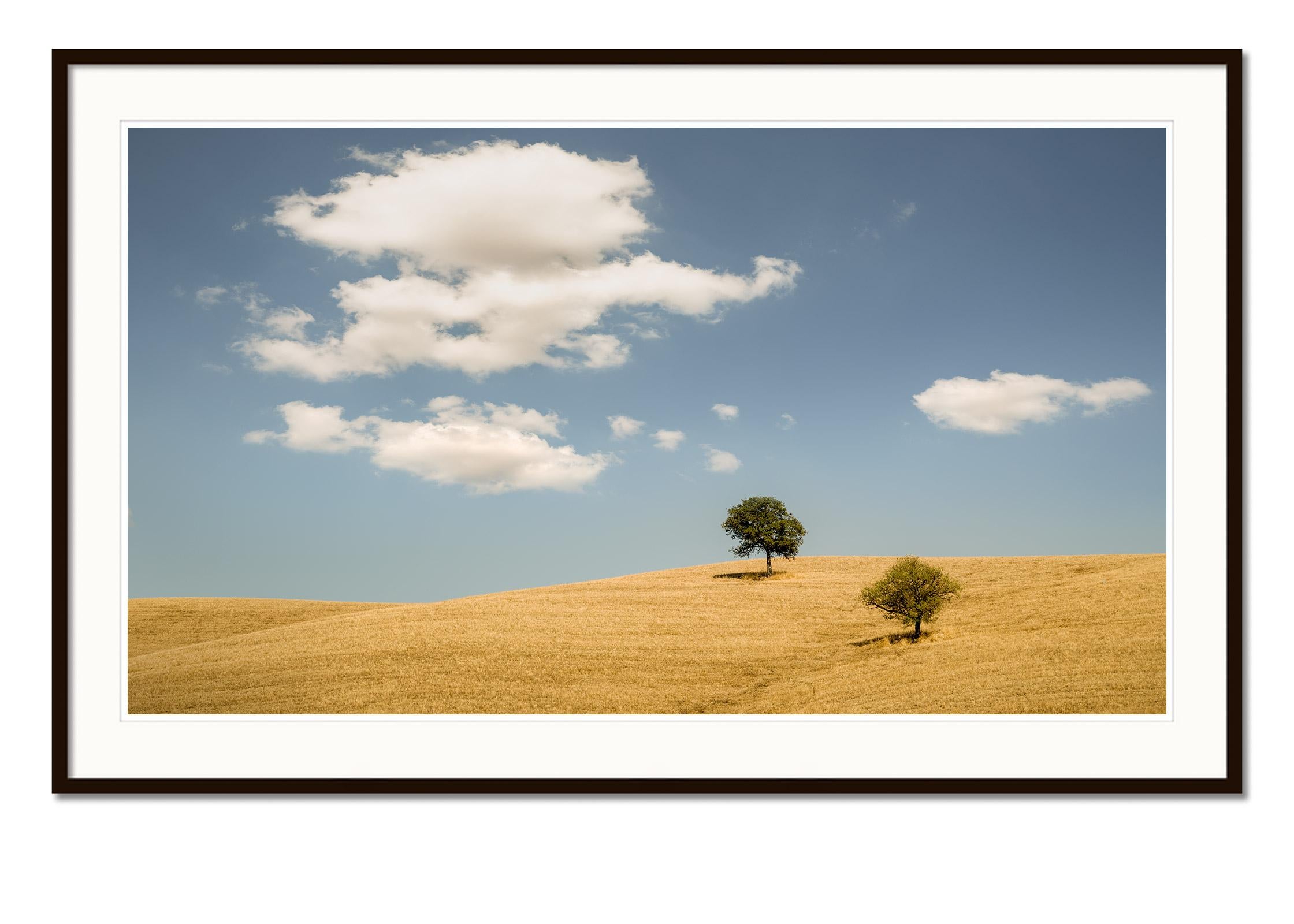 Hilles roulantes avec arbres, photographie, panorama, paysage, édition limitée - Gris Color Photograph par Gerald Berghammer