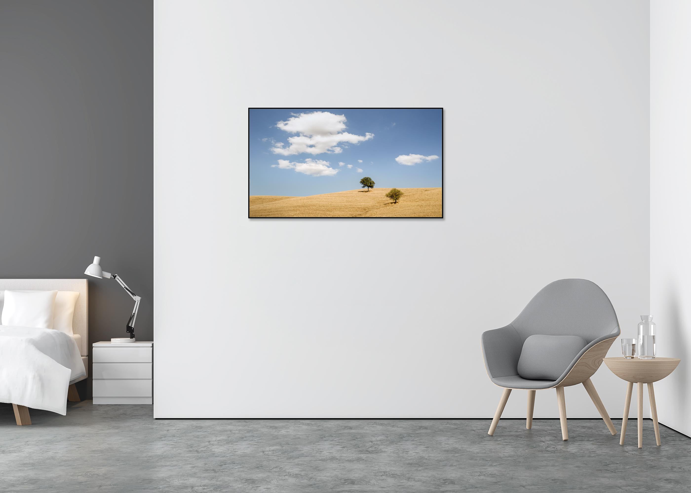 Rolling hills with Trees photography panorama landscape limited edition - Gray Color Photograph by Gerald Berghammer