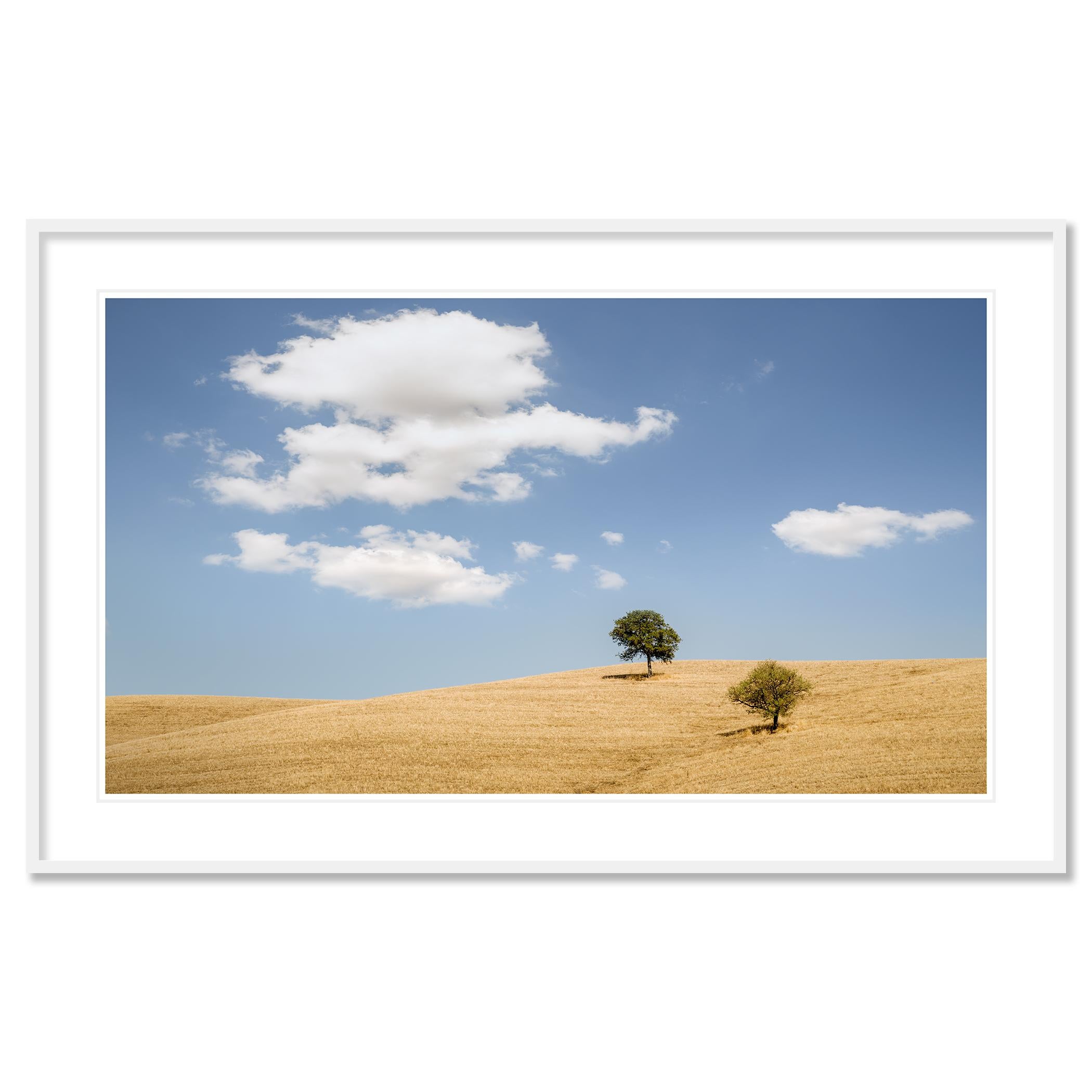 Rolling Hills with Trees Study 2, Tuscany - no. 21099
Color white fine landscape photography. Archival pigment ink print as part of a limited edition of 7. All Gerald Berghammer prints are made to order in limited editions on Hahnemuehle Photo Rag
