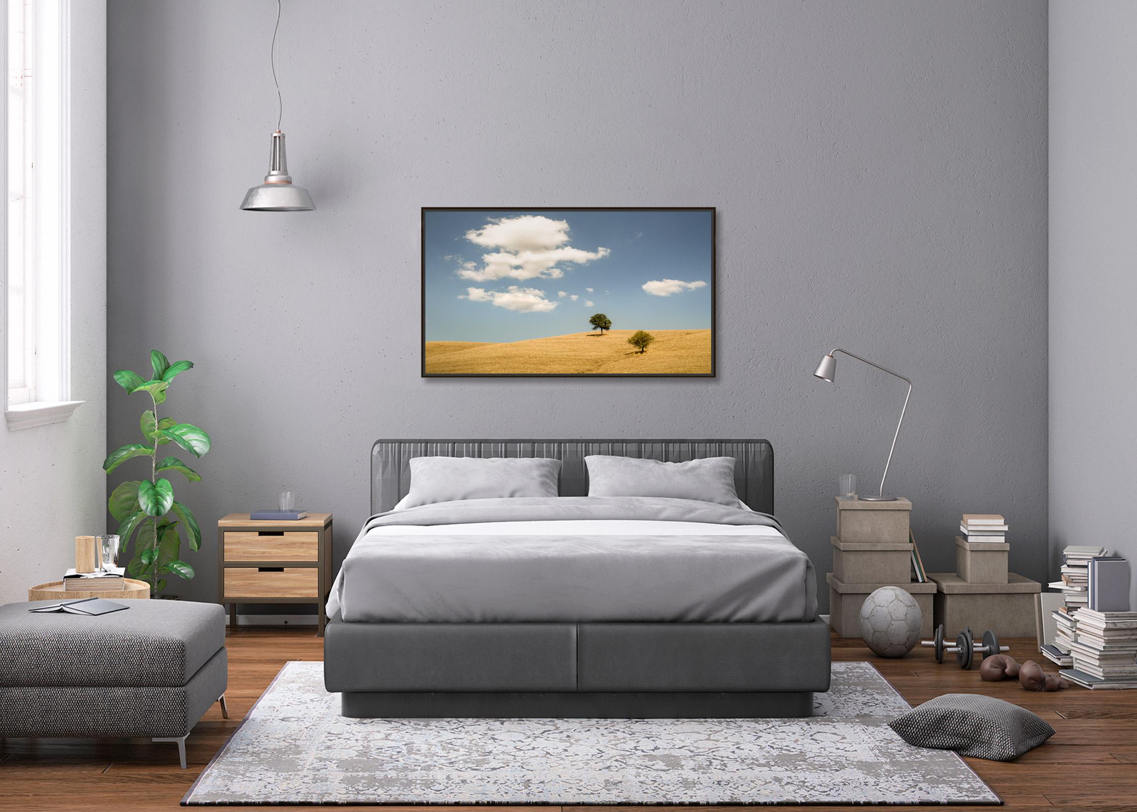Hilles roulantes avec arbres, photographie, panorama, paysage, édition limitée en vente 1