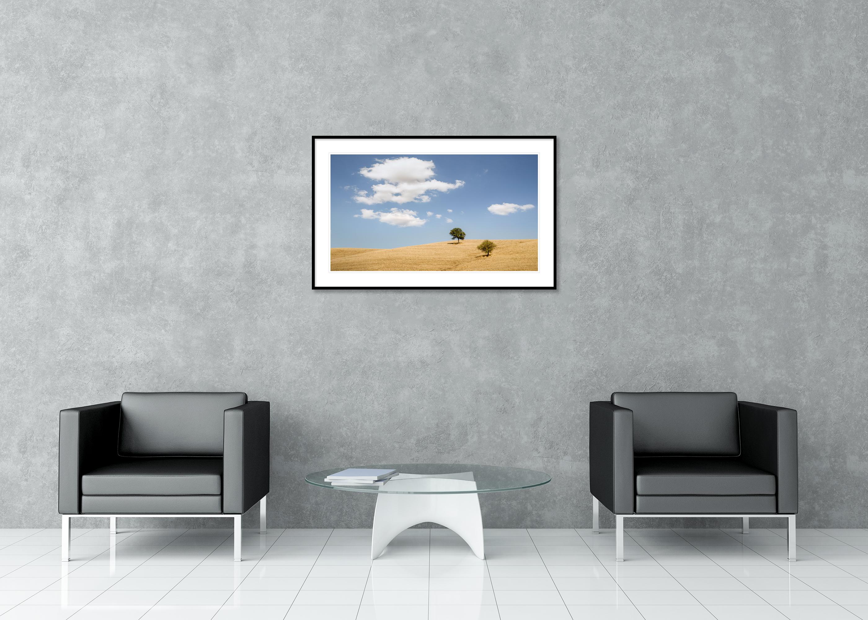 Rolling hills with Trees photography panorama landscape limited edition For Sale 1