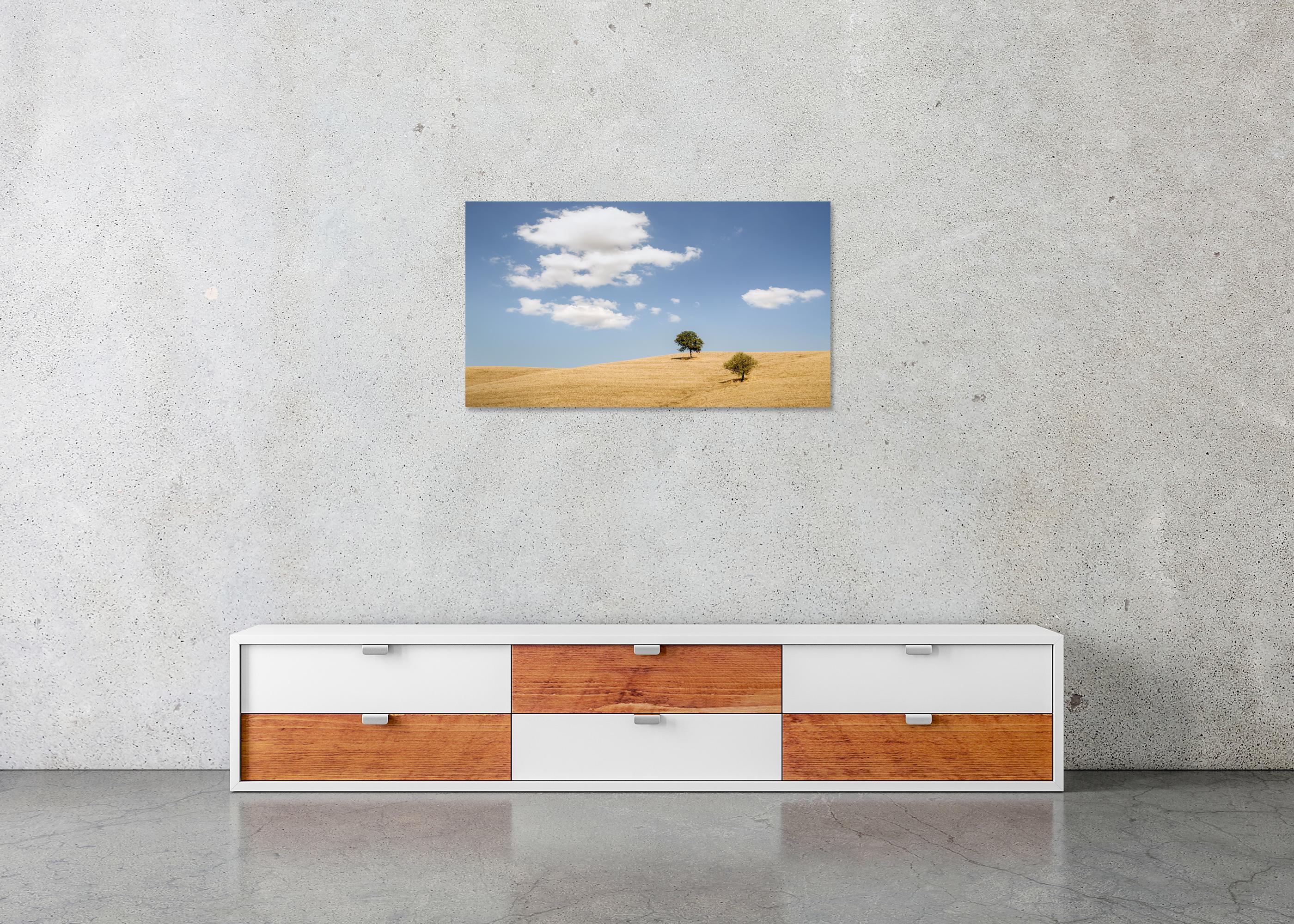 Rolling hills with Trees photography panorama landscape limited edition For Sale 3