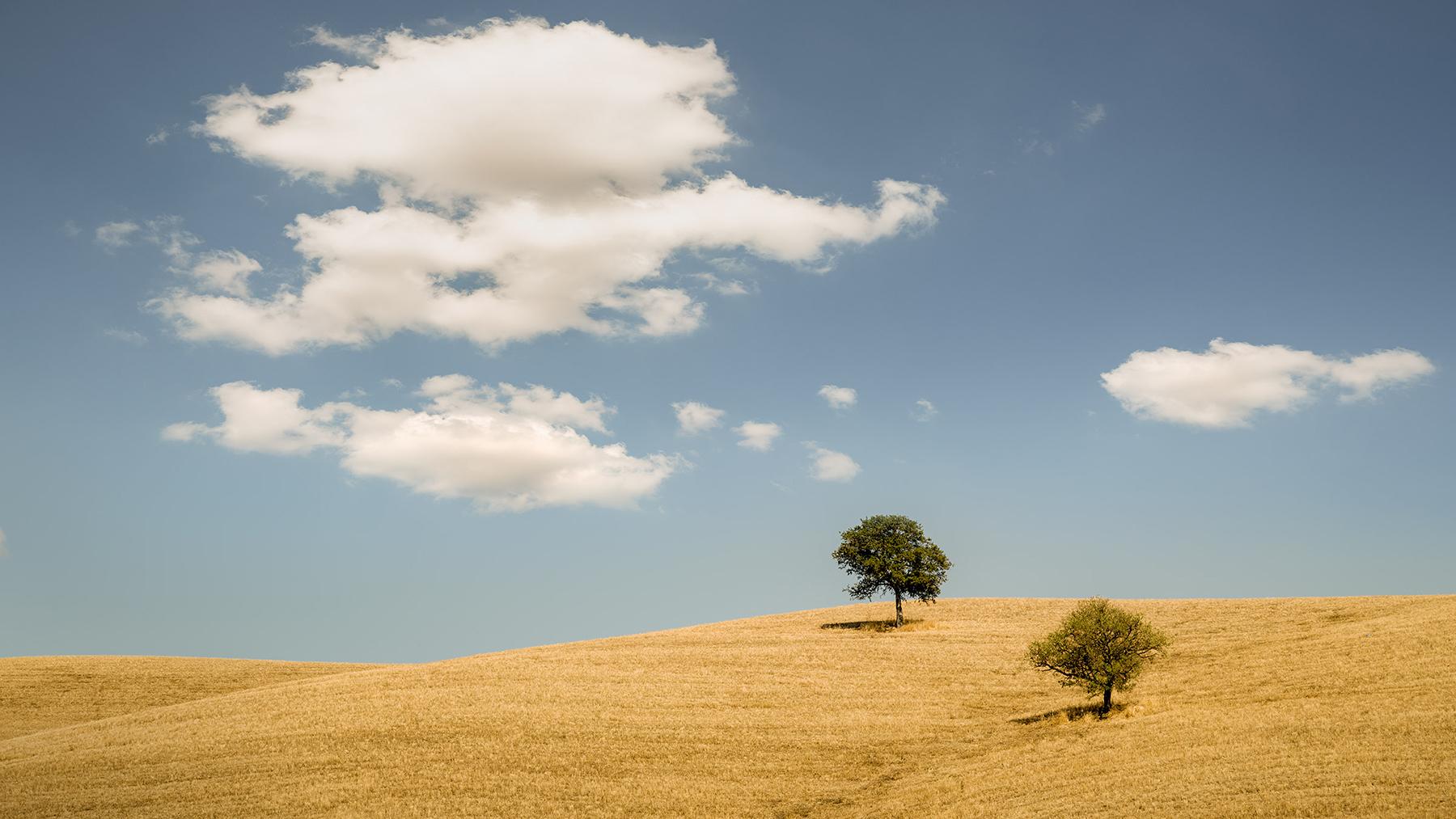 Color Photograph Gerald Berghammer - Hilles roulantes avec arbres, photographie, panorama, paysage, édition limitée