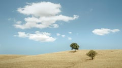 Rolling hills with Trees Fotografie Panorama Landschaft limitierte Auflage