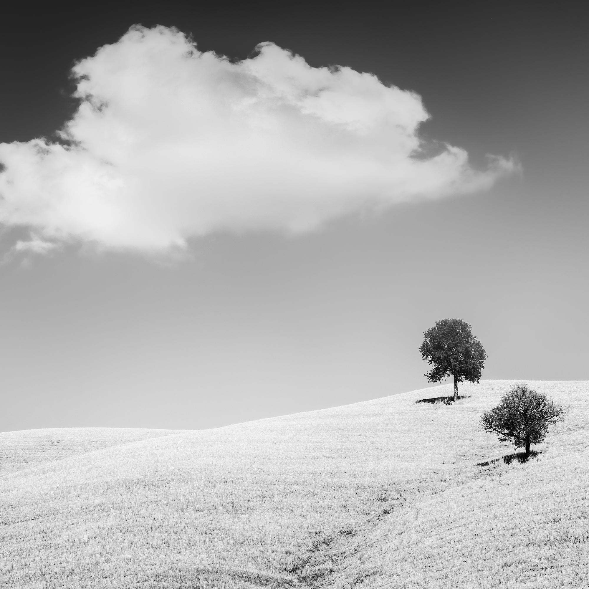 Rolling Hills mit Bäumen, Toskana, Schwarz-Weiß, Landschaft, limitierte Auflage im Angebot 5