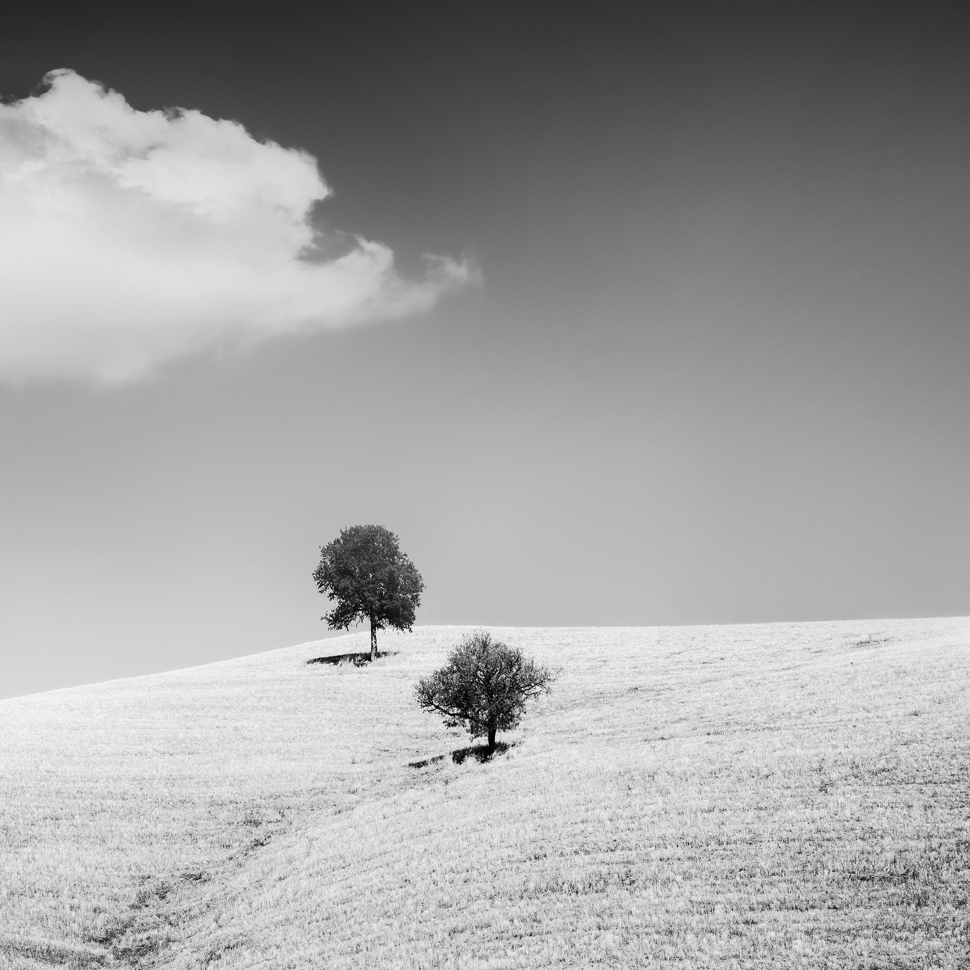 Rolling Hills mit Bäumen, Toskana, Schwarz-Weiß, Landschaft, limitierte Auflage im Angebot 6