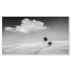 Colinas ondulantes con árboles, Toscana, paisaje en blanco y negro, edición limitada